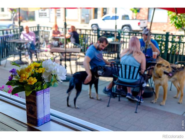 Outdoor patio seating with patrons and dogs, framed by a colorful flower arrangement.