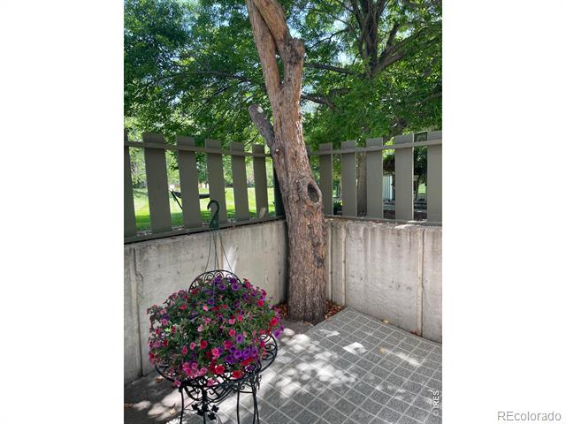 Tiled patio with a mature tree and a hanging basket of colorful flowers.