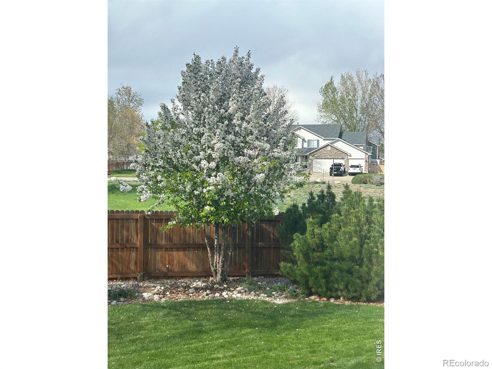 1504 Willowbrook Drive