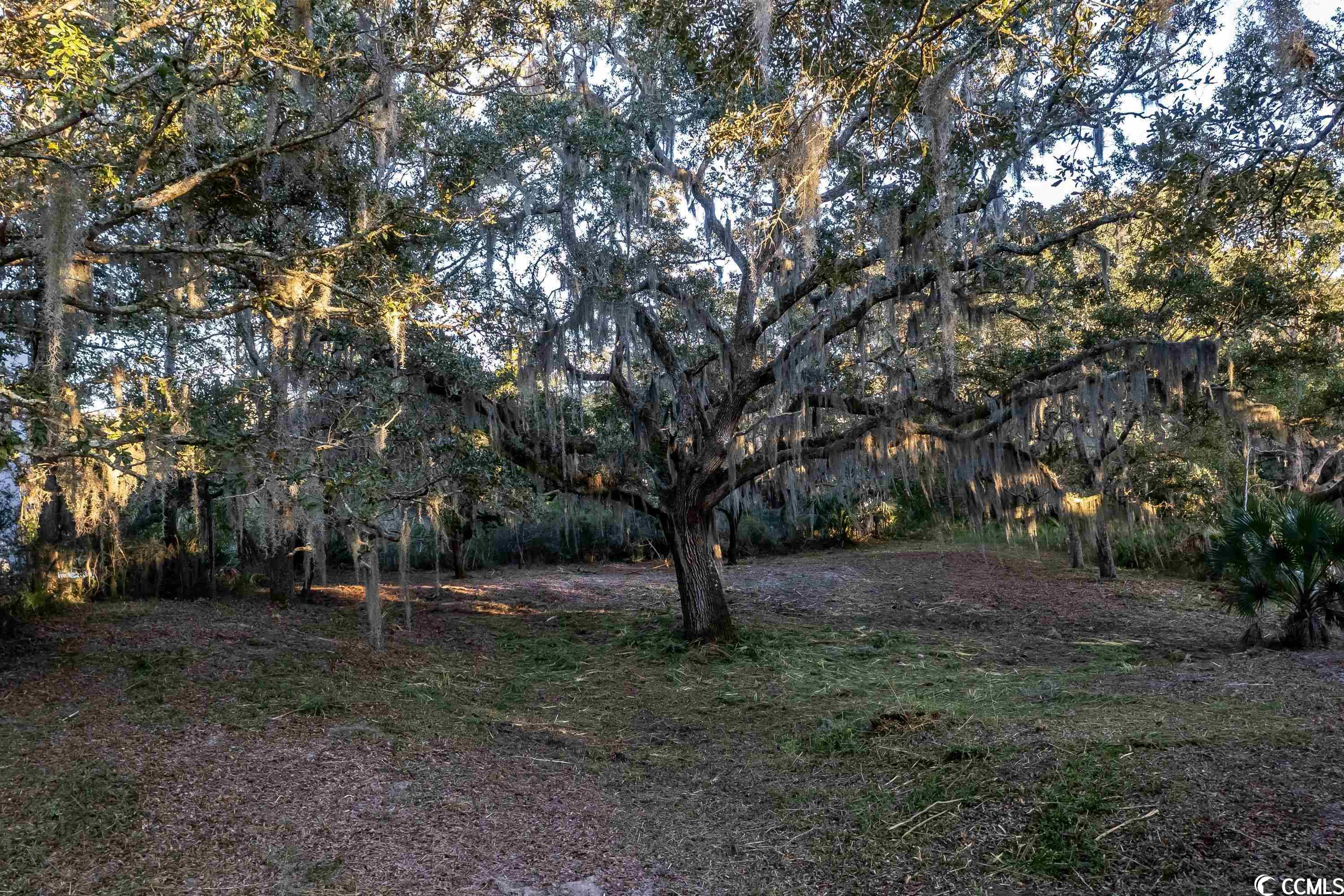 Lot 31 Dune Oaks Dr.