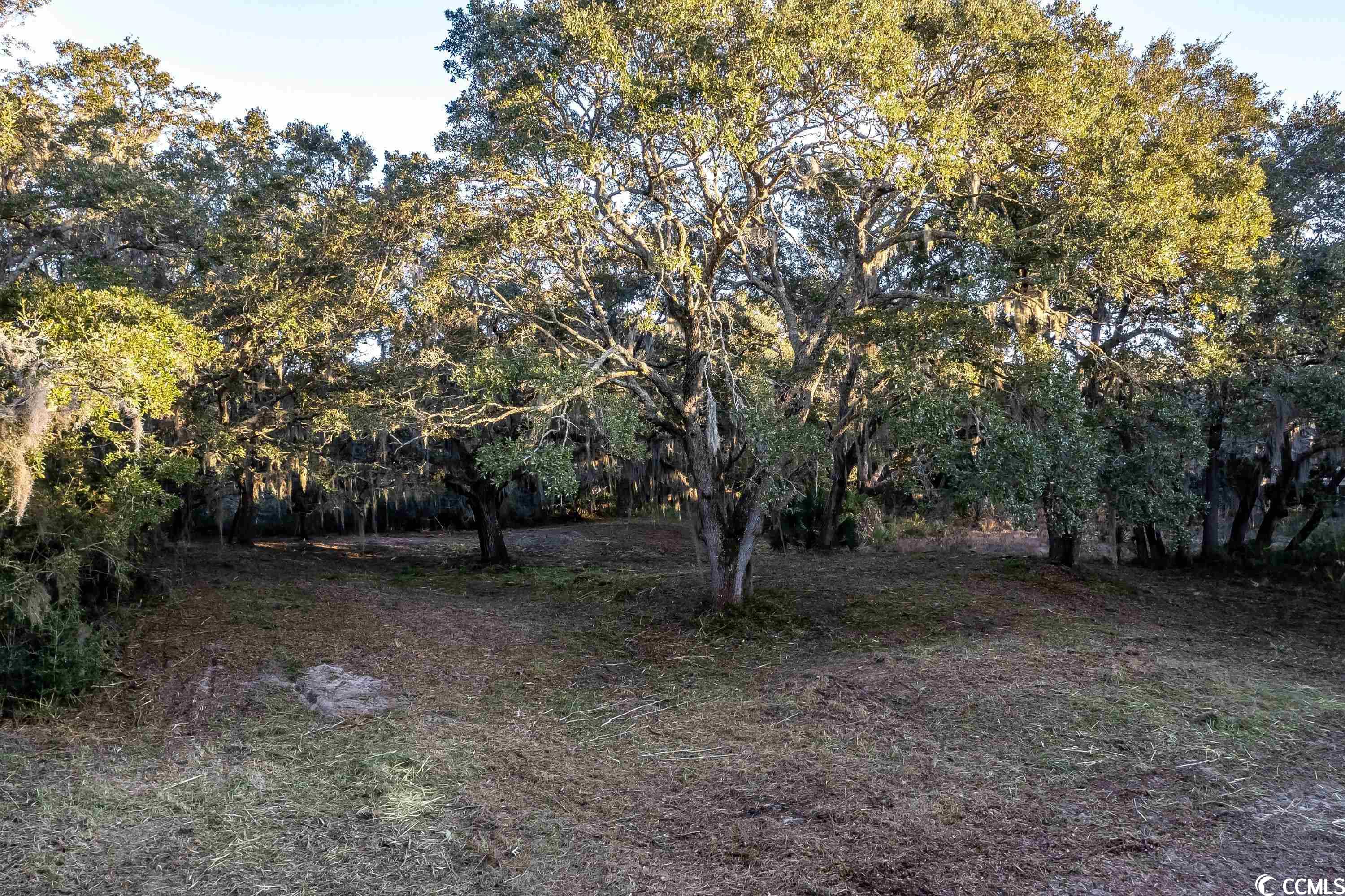 Lot 31 Dune Oaks Dr.