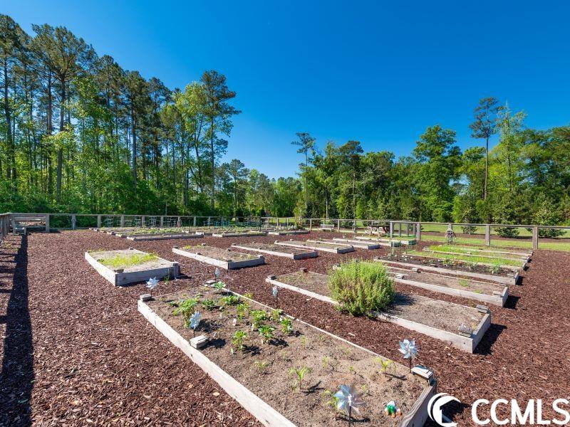 809 Harrison Mill St.