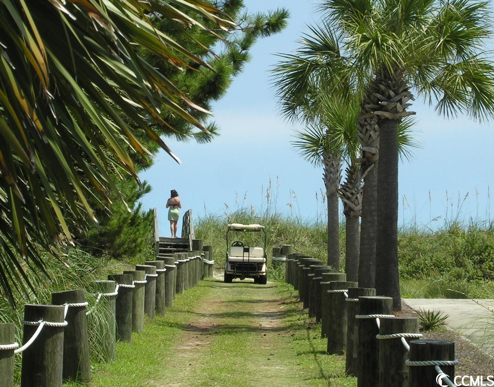 991 Collins Meadow Dr.