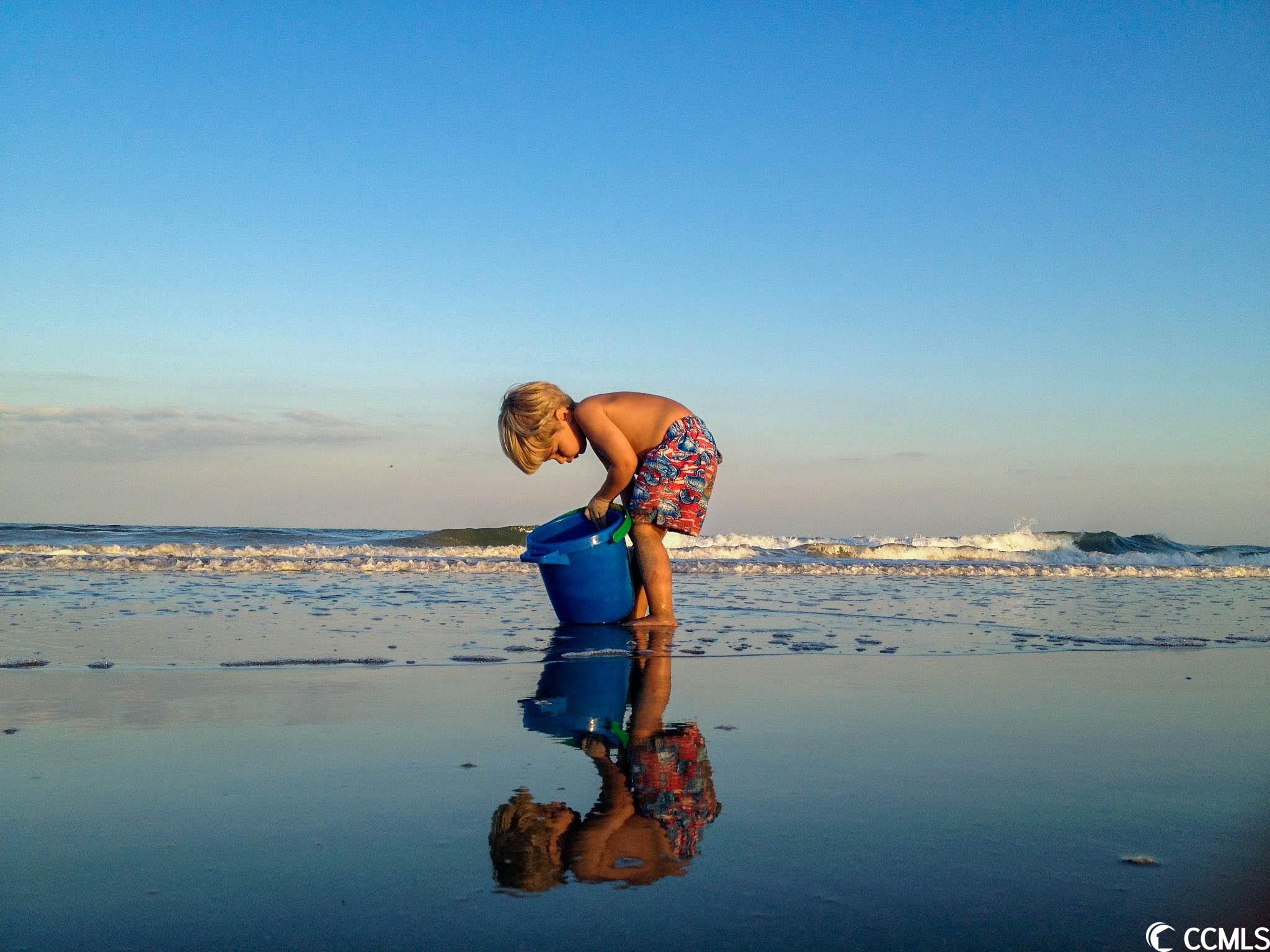 991 Collins Meadow Dr.