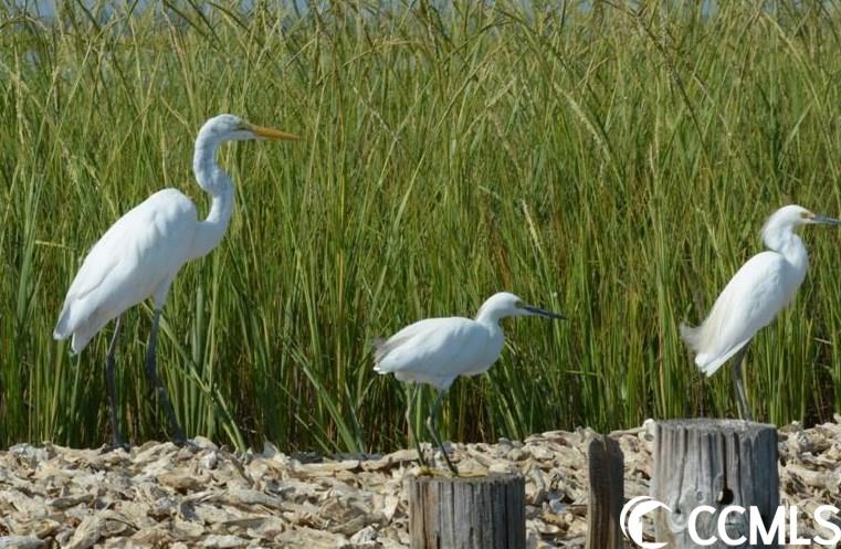 127 Marsh Lake Dr. Unit: 29