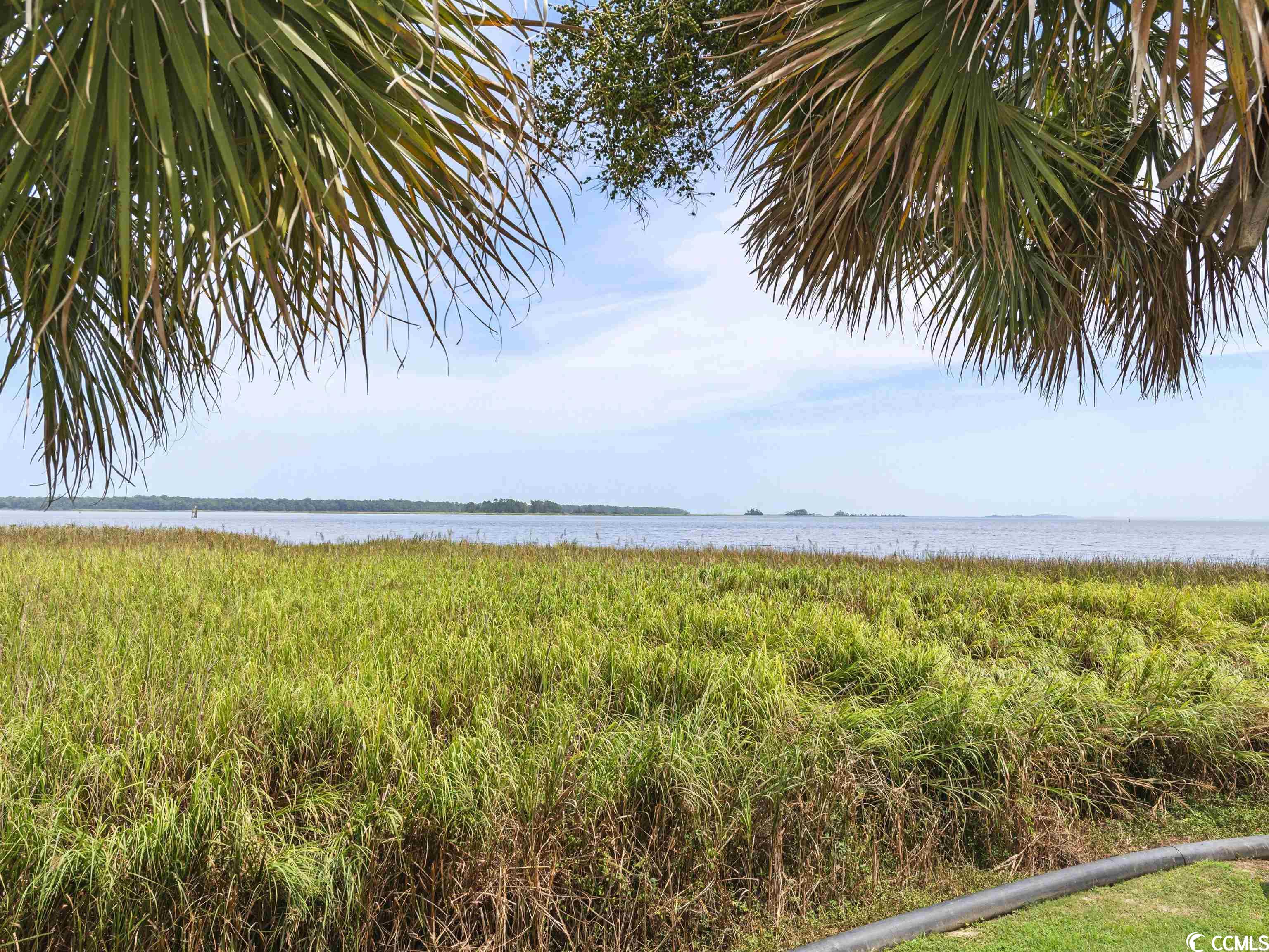 39 Mayrant Bluff Ln. Unit: 52