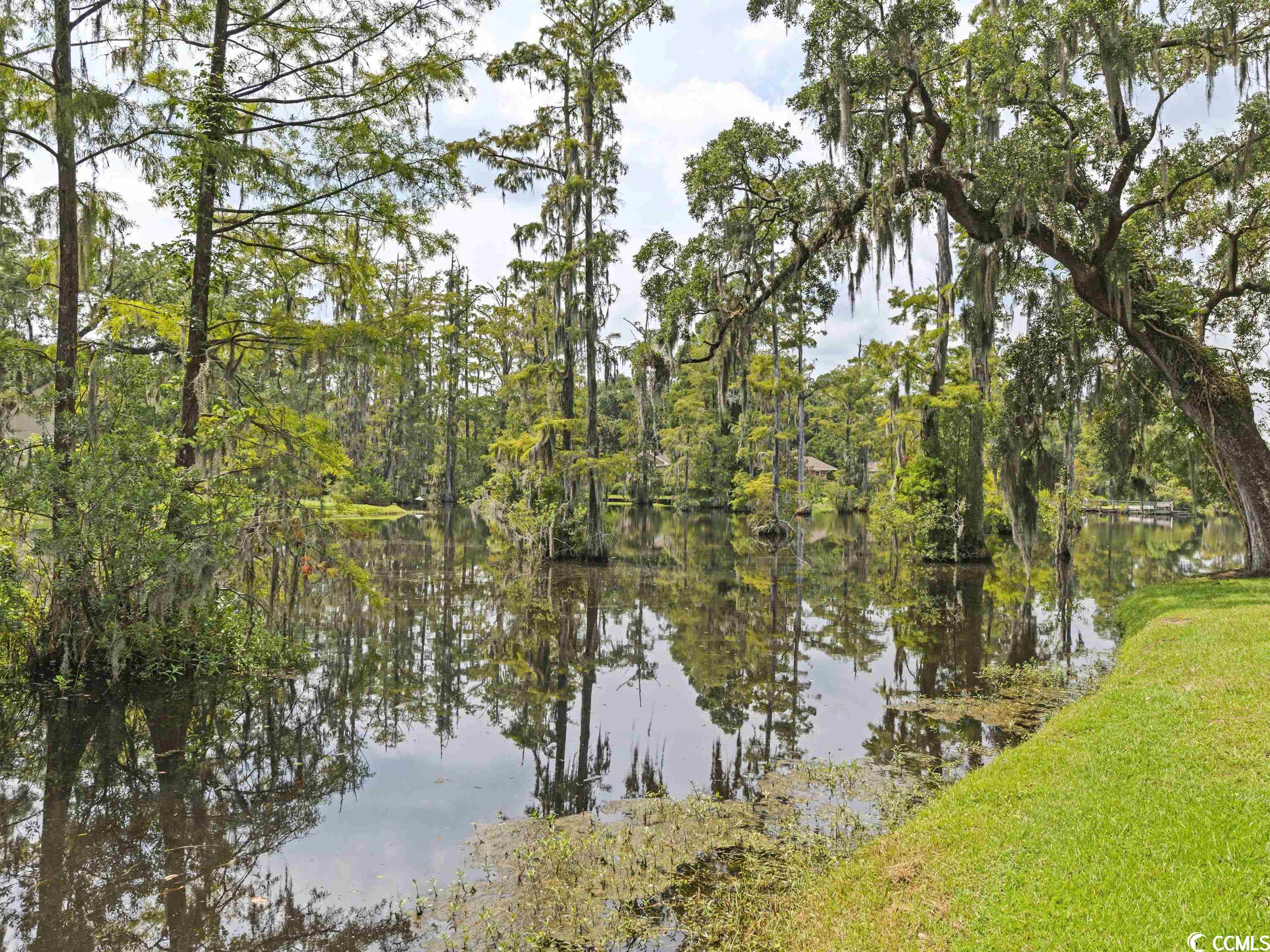 39 Mayrant Bluff Ln. Unit: 52