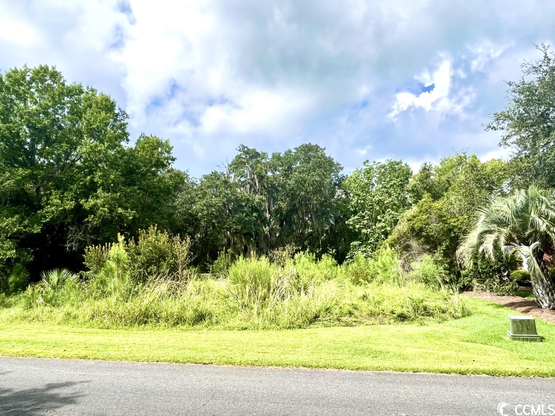 Lot 258 Bonnyneck Dr.