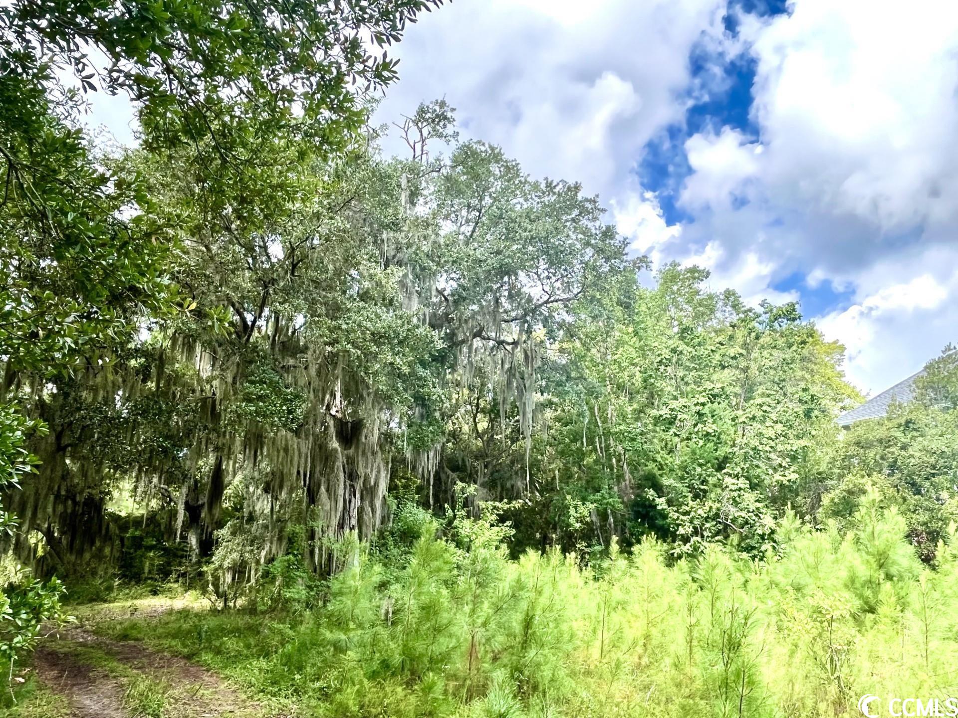 Lot 258 Bonnyneck Dr.