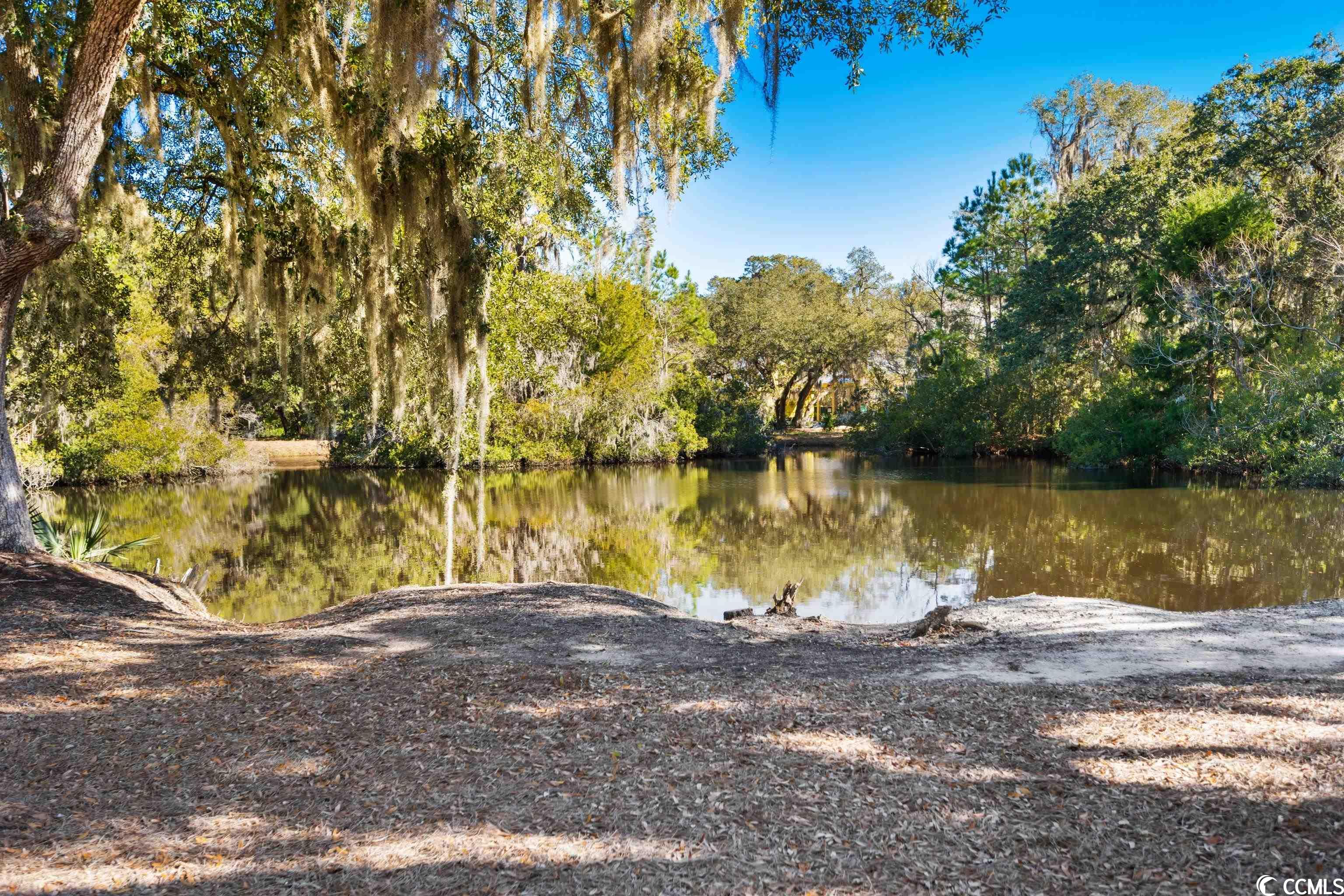 312 Old Carriage Loop