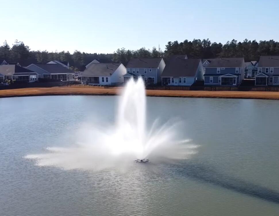 207 Shortmarsh Street