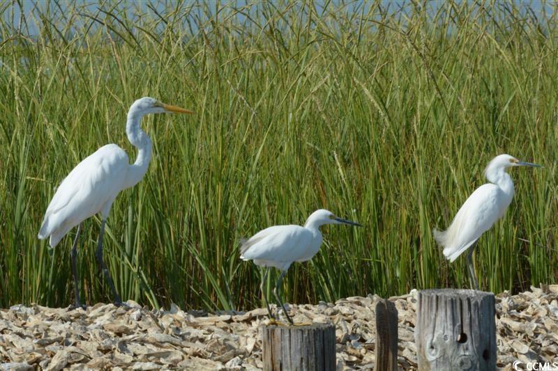 820 Wallace Pate Dr.