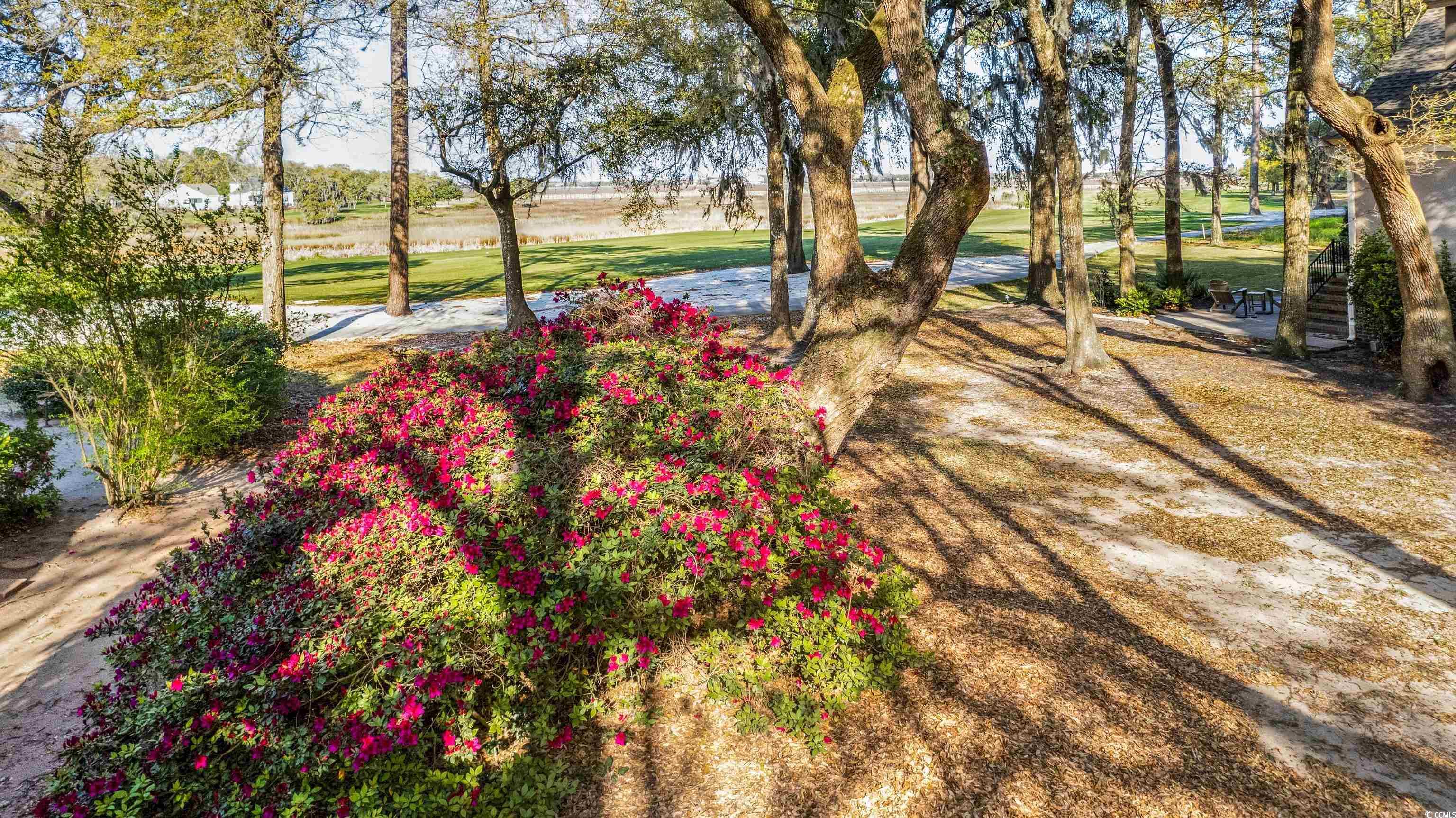 Lot 46 Widgeon Dr.