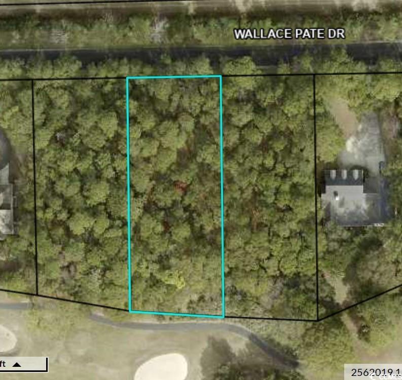 Lot 320 Wallace Pate Dr.
