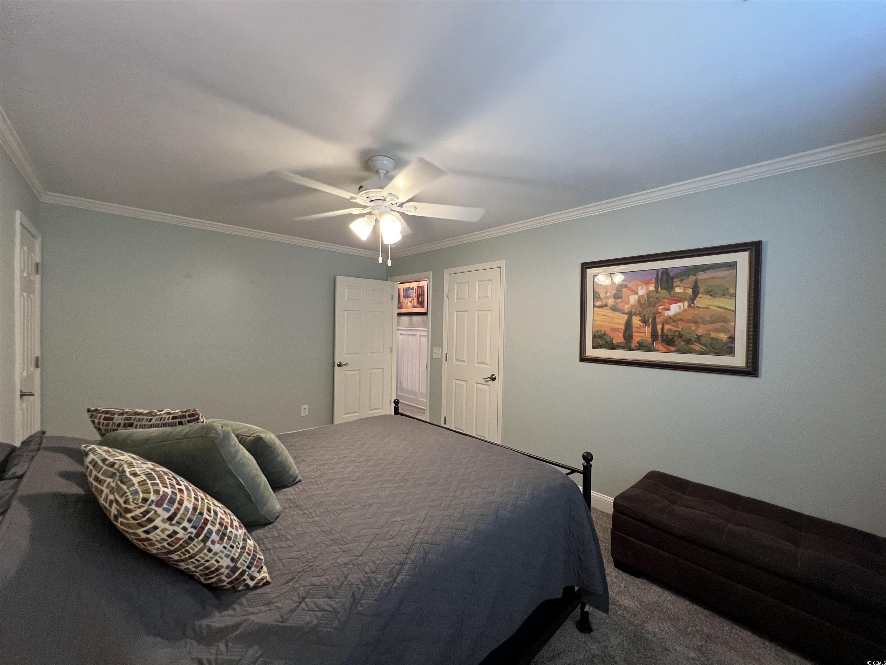 144 Grey Fox Loop