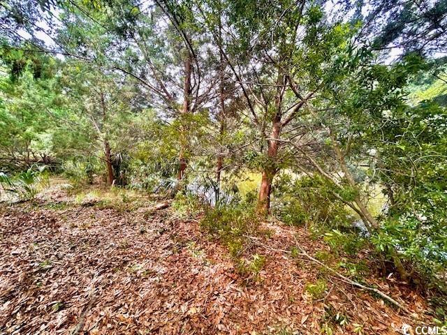258 Bonnyneck Dr.