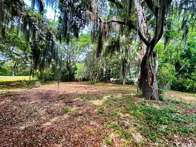 258 Bonnyneck Dr.