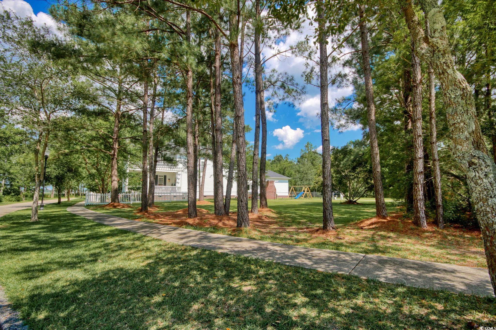 217 Warham Dr.