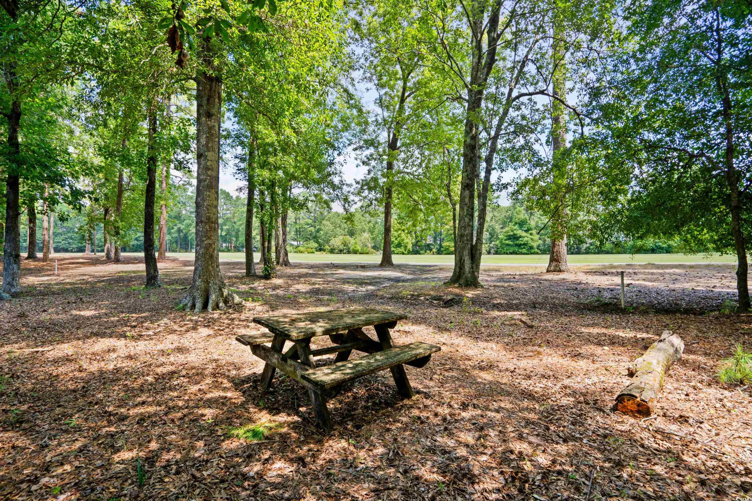 123 University Circle