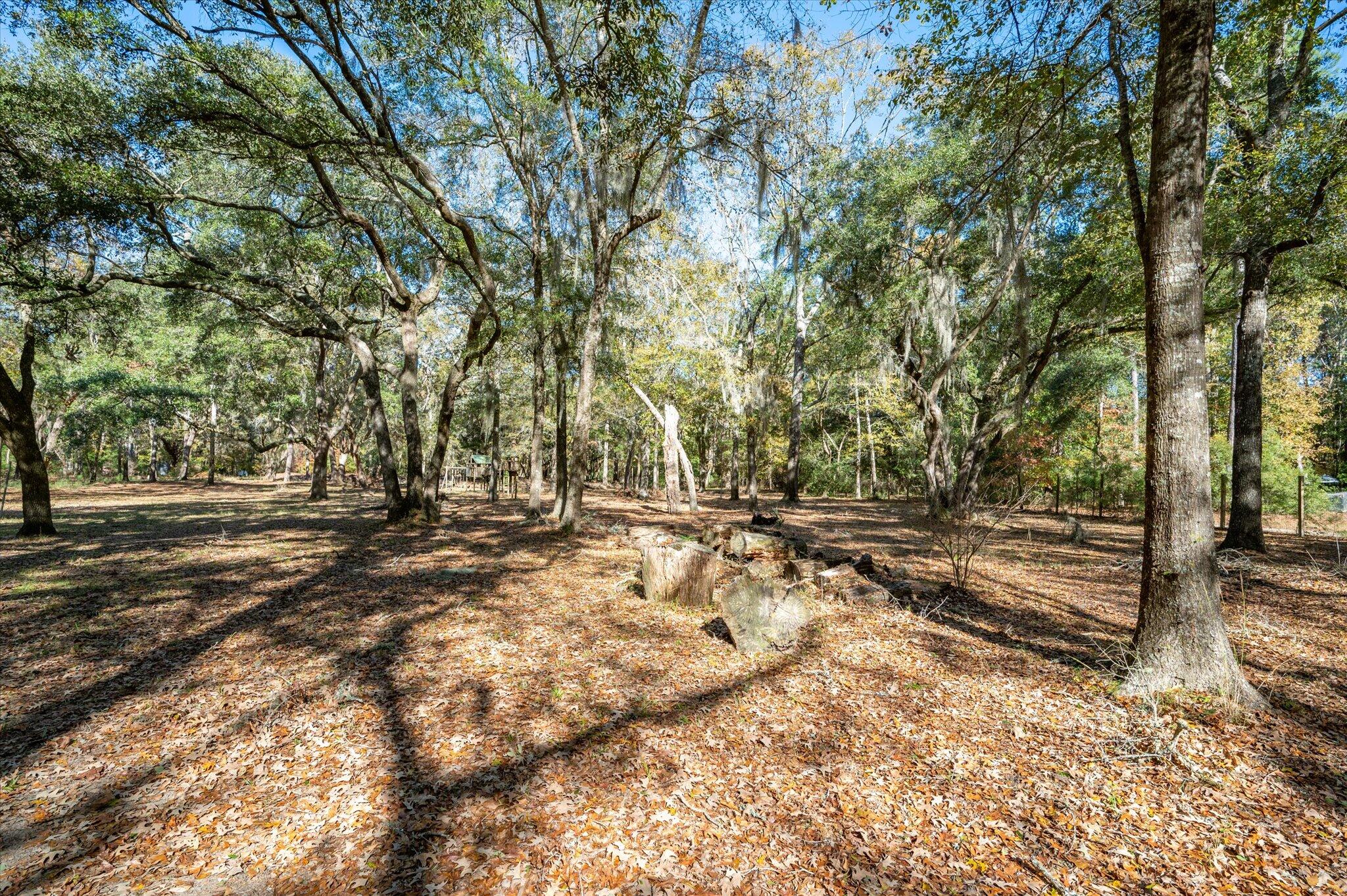 1210 Turning Leaf Drive