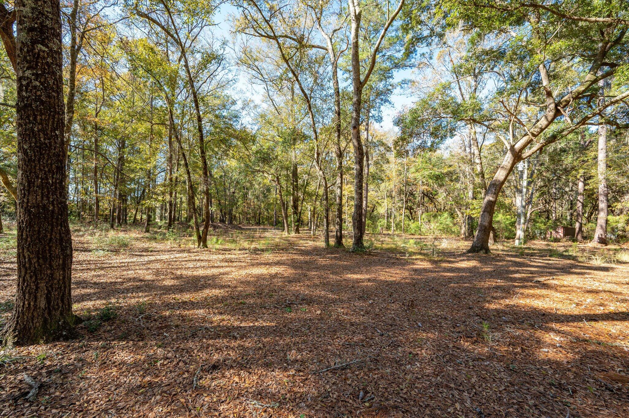 1210 Turning Leaf Drive