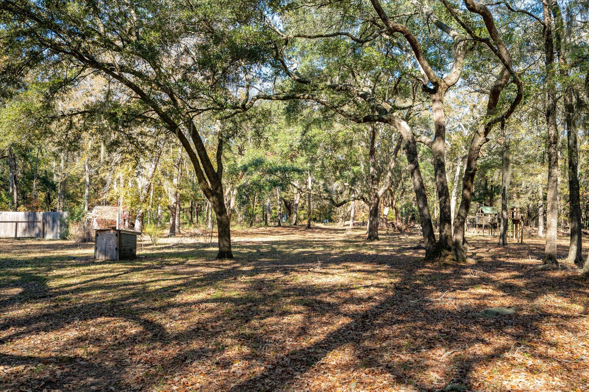 1210 Turning Leaf Drive