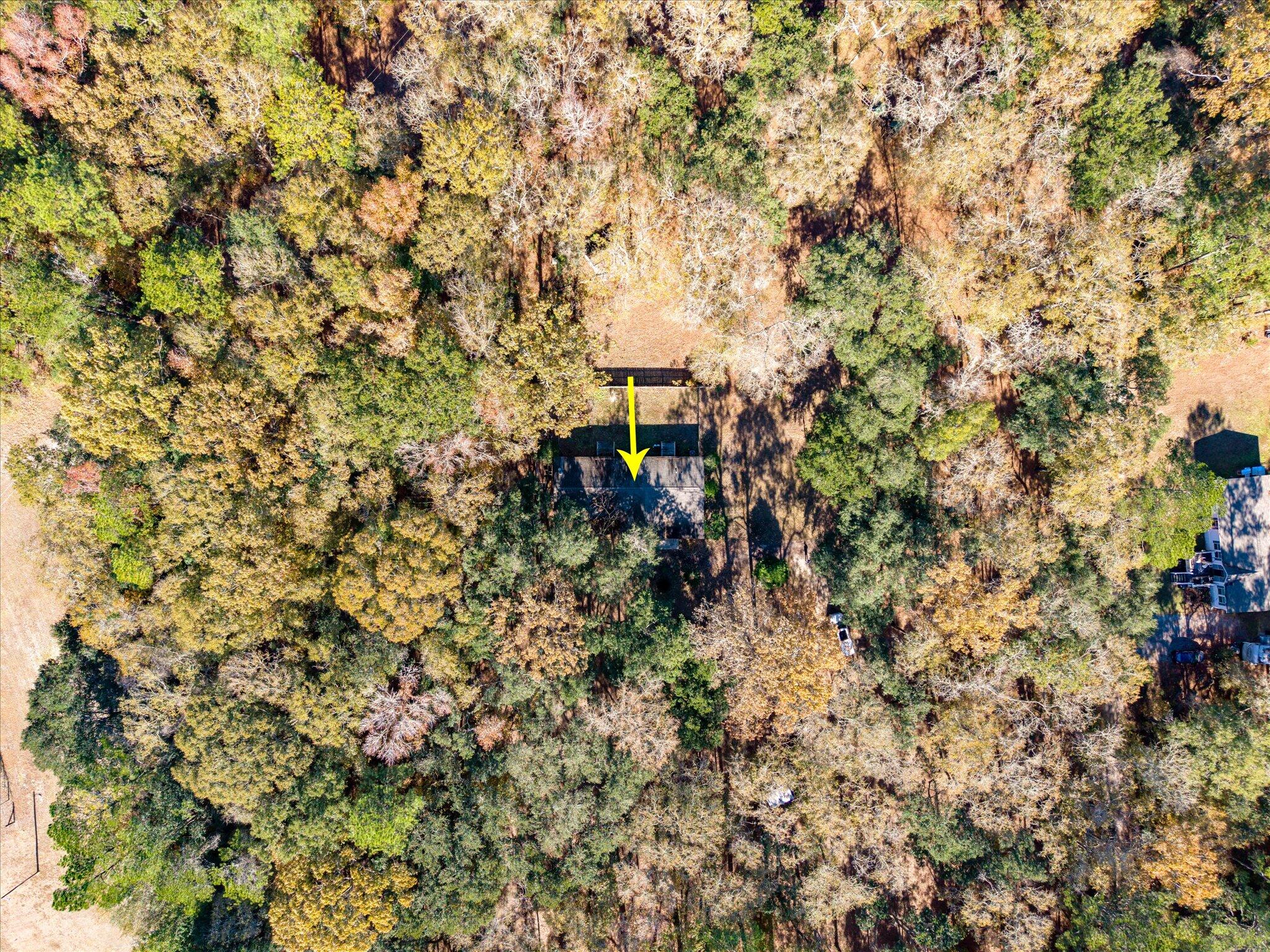 1210 Turning Leaf Drive