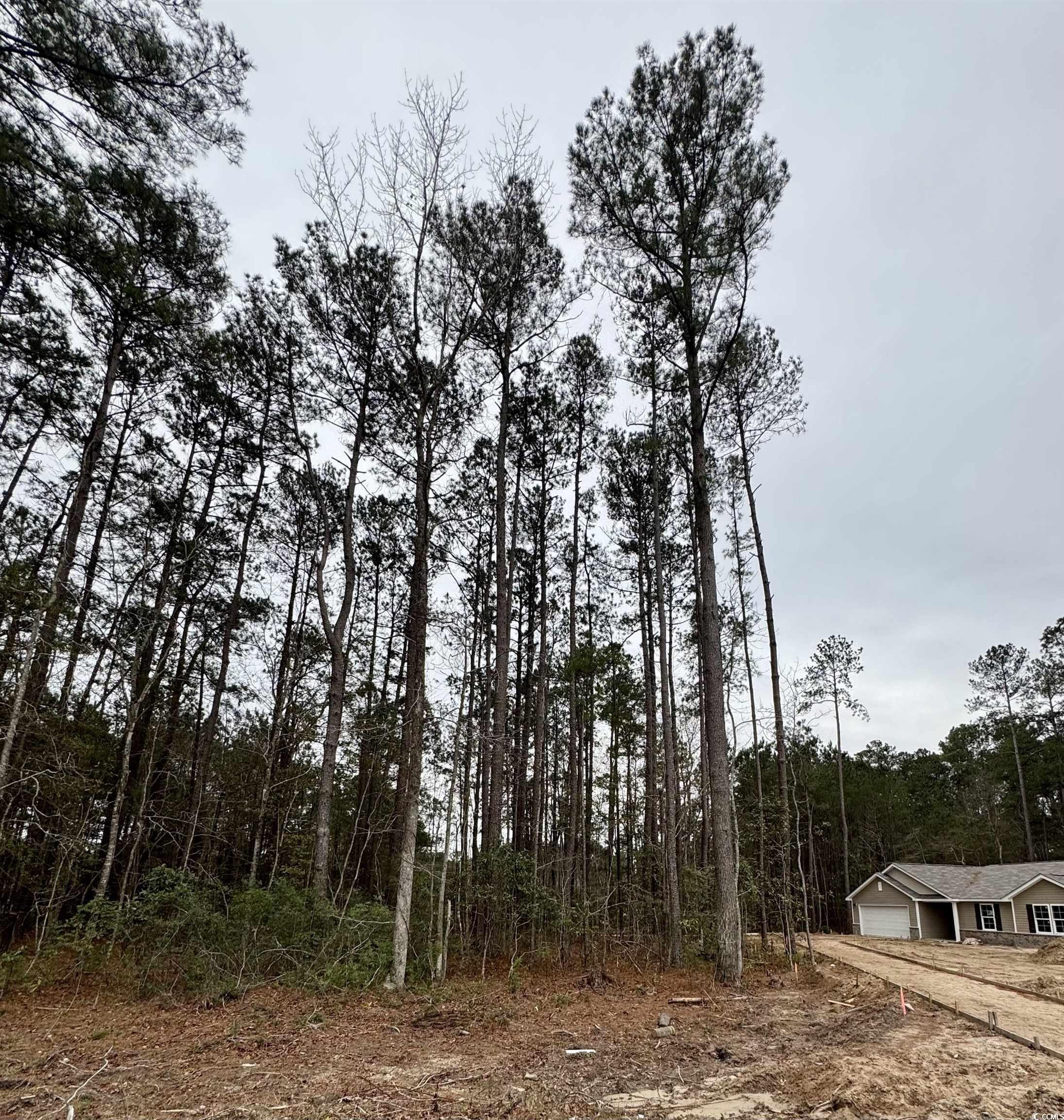 200 Joanna Gillard Ln.