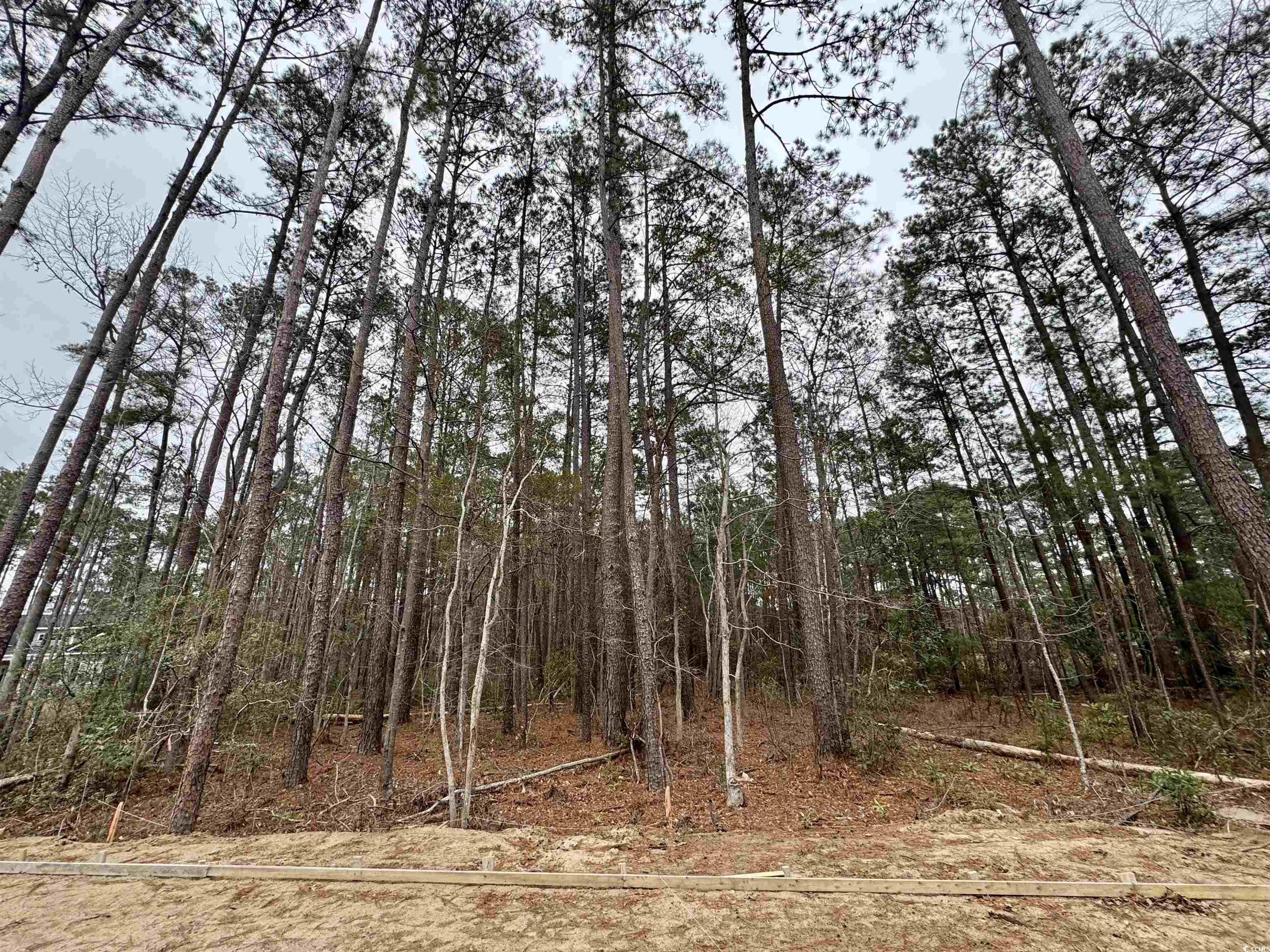 200 Joanna Gillard Ln.
