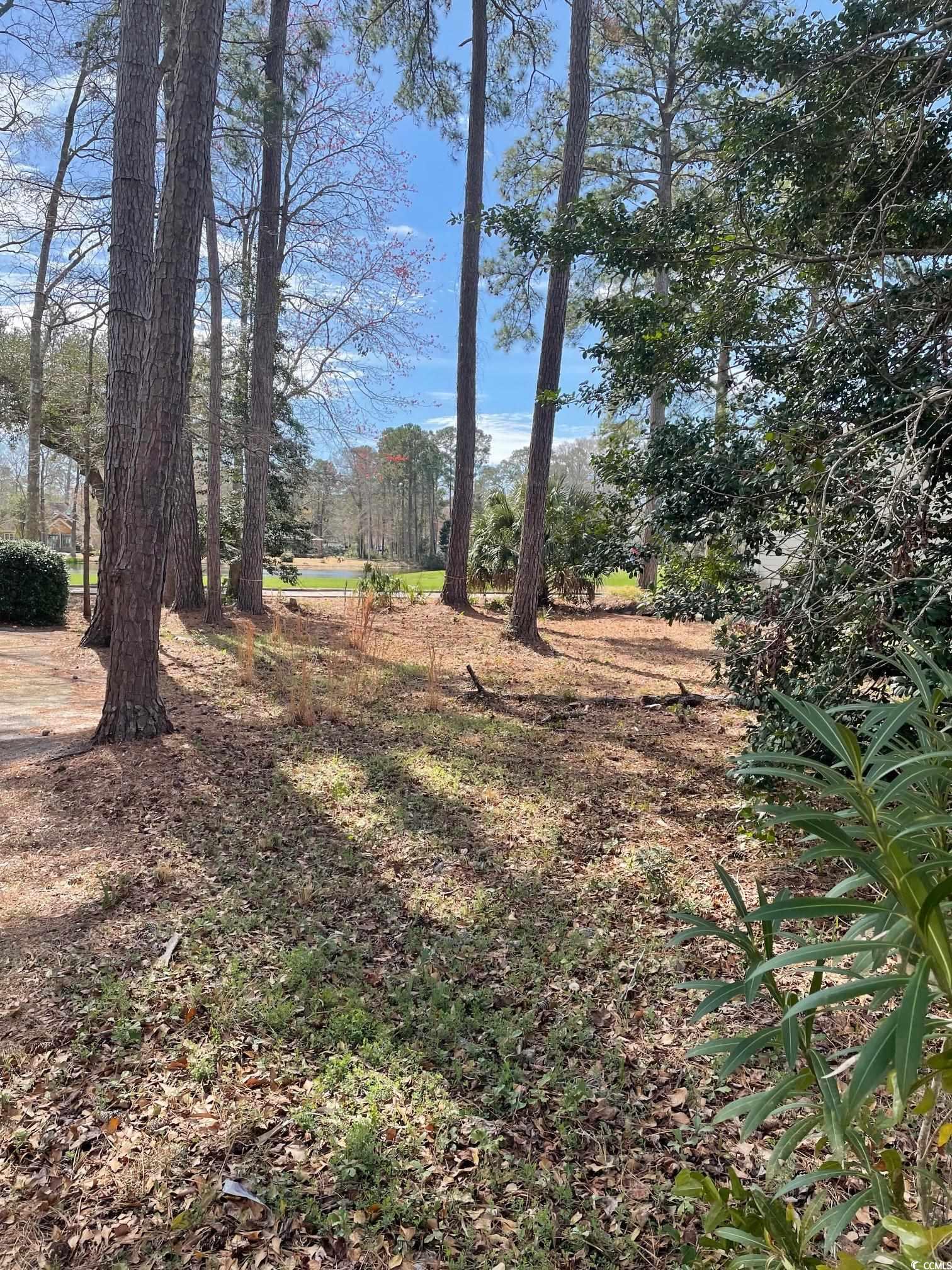 138 Turtle Creek Dr.