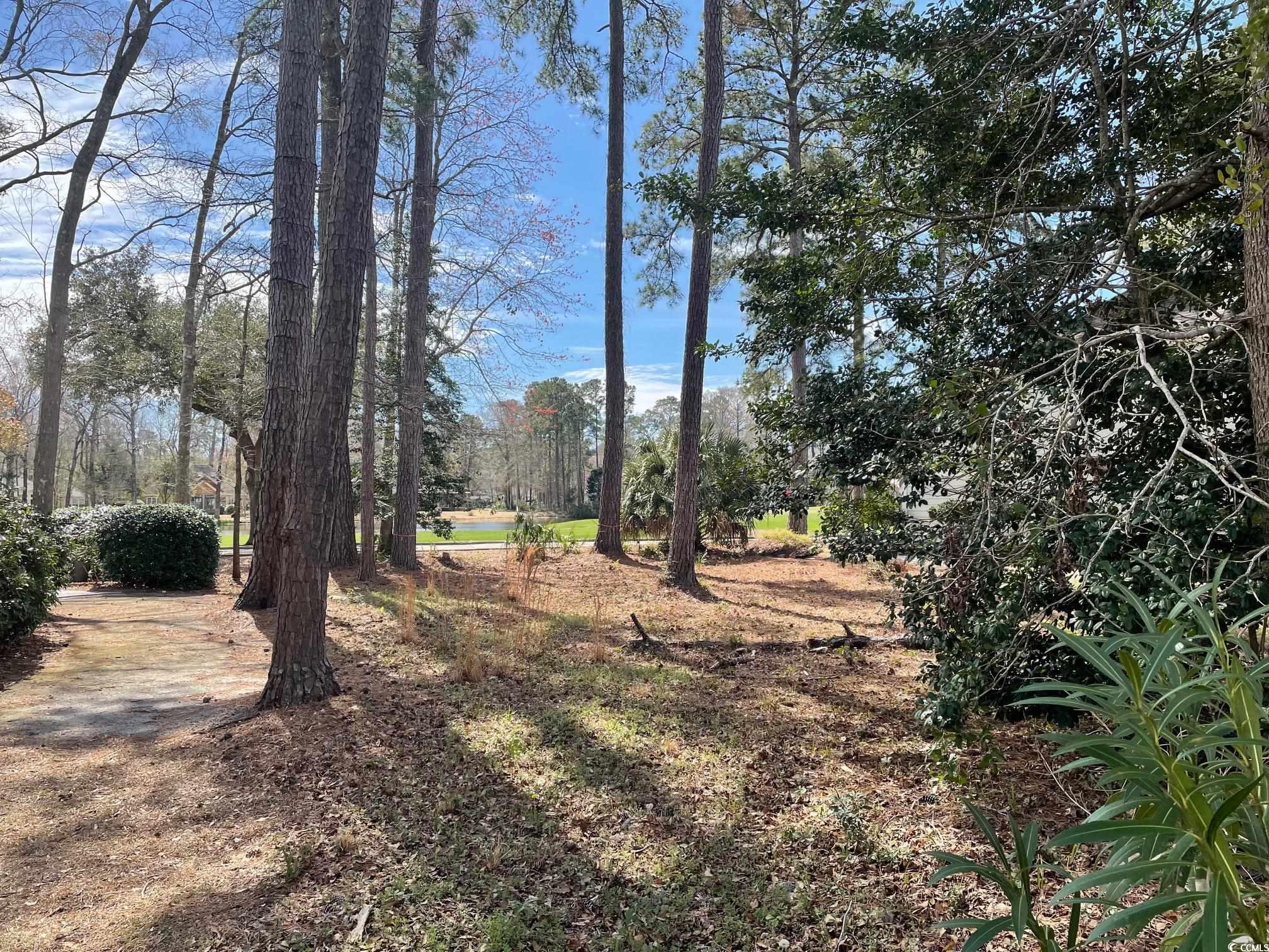 138 Turtle Creek Dr.