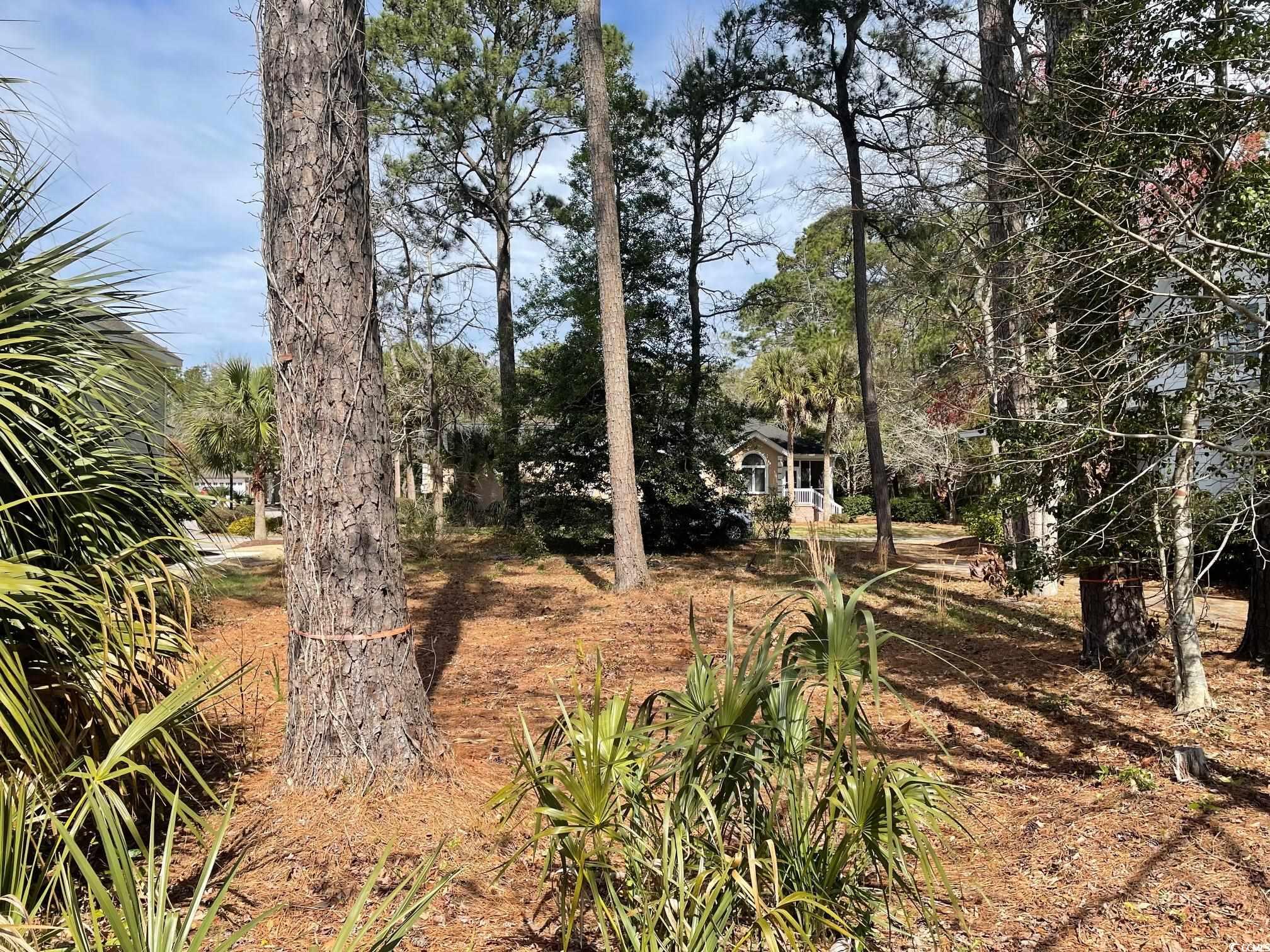 138 Turtle Creek Dr.