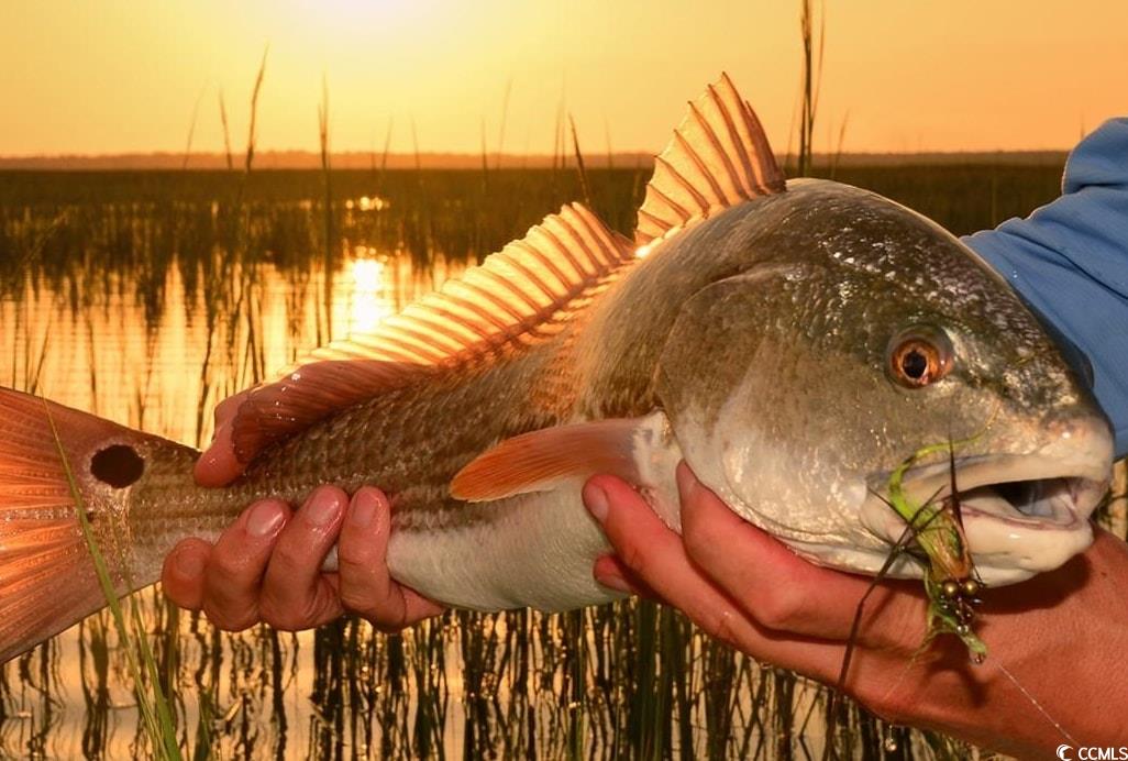 139 Clam Digger Loop