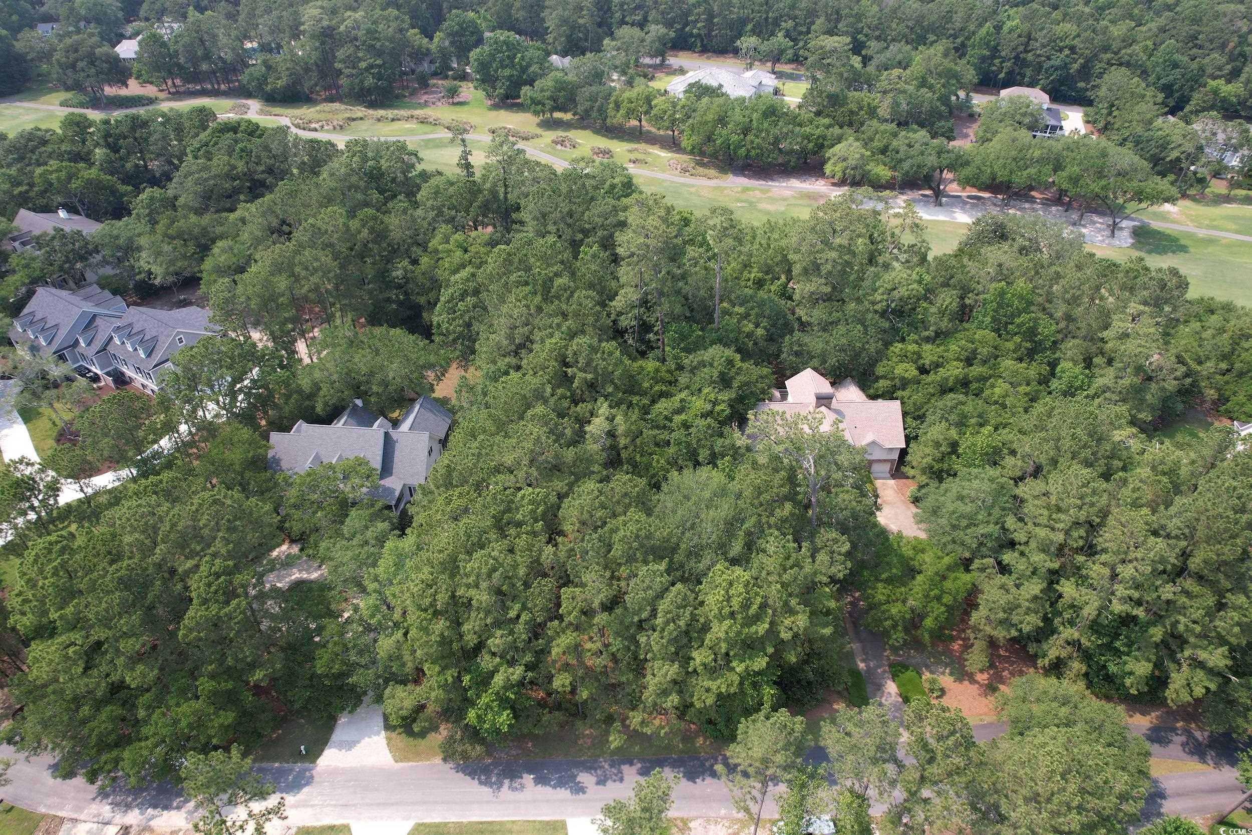 Lot 81 Brandon Way
