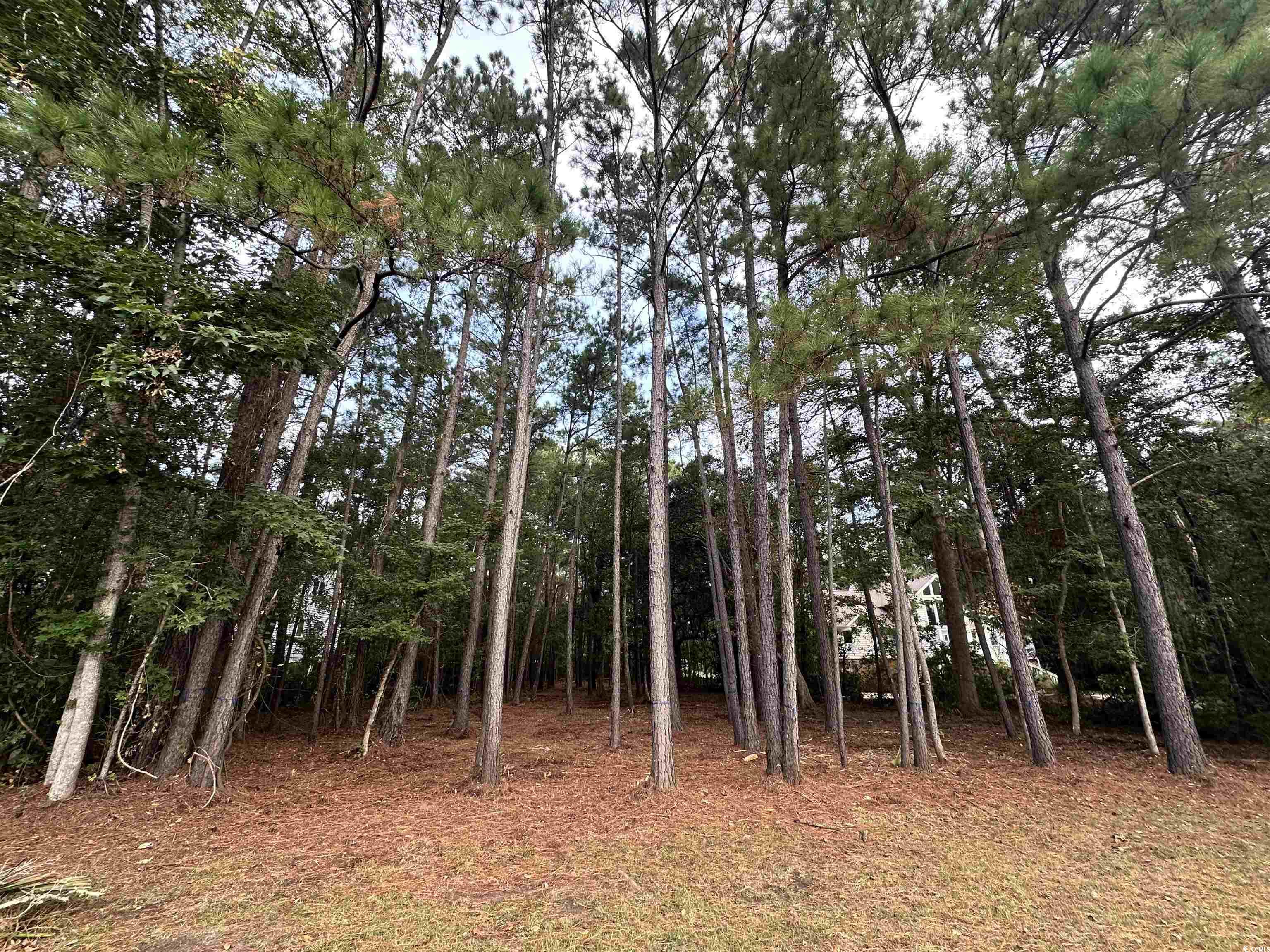 Lot 81 Brandon Way