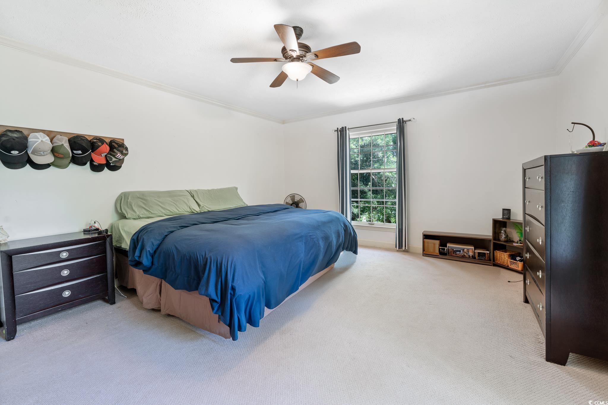 59 Bay Tree Ln.