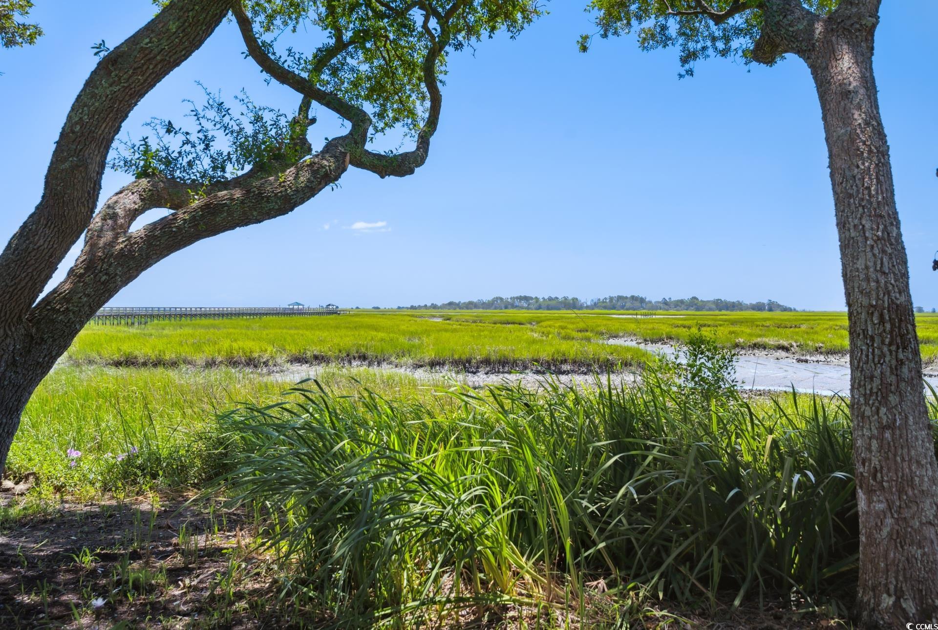 5137 Highway 17 Business Unit: 1F