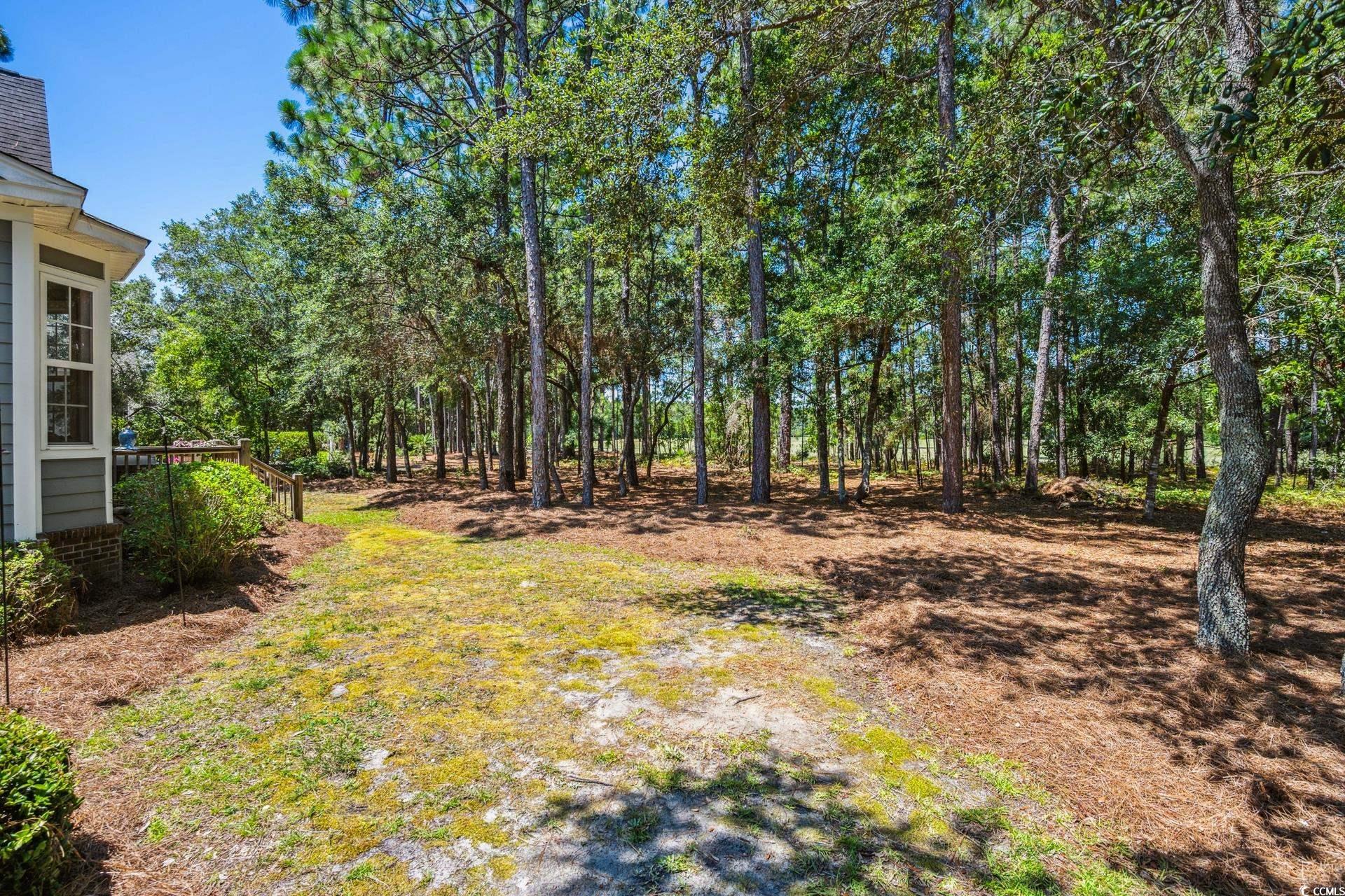 54 Bald Cypress Ct.