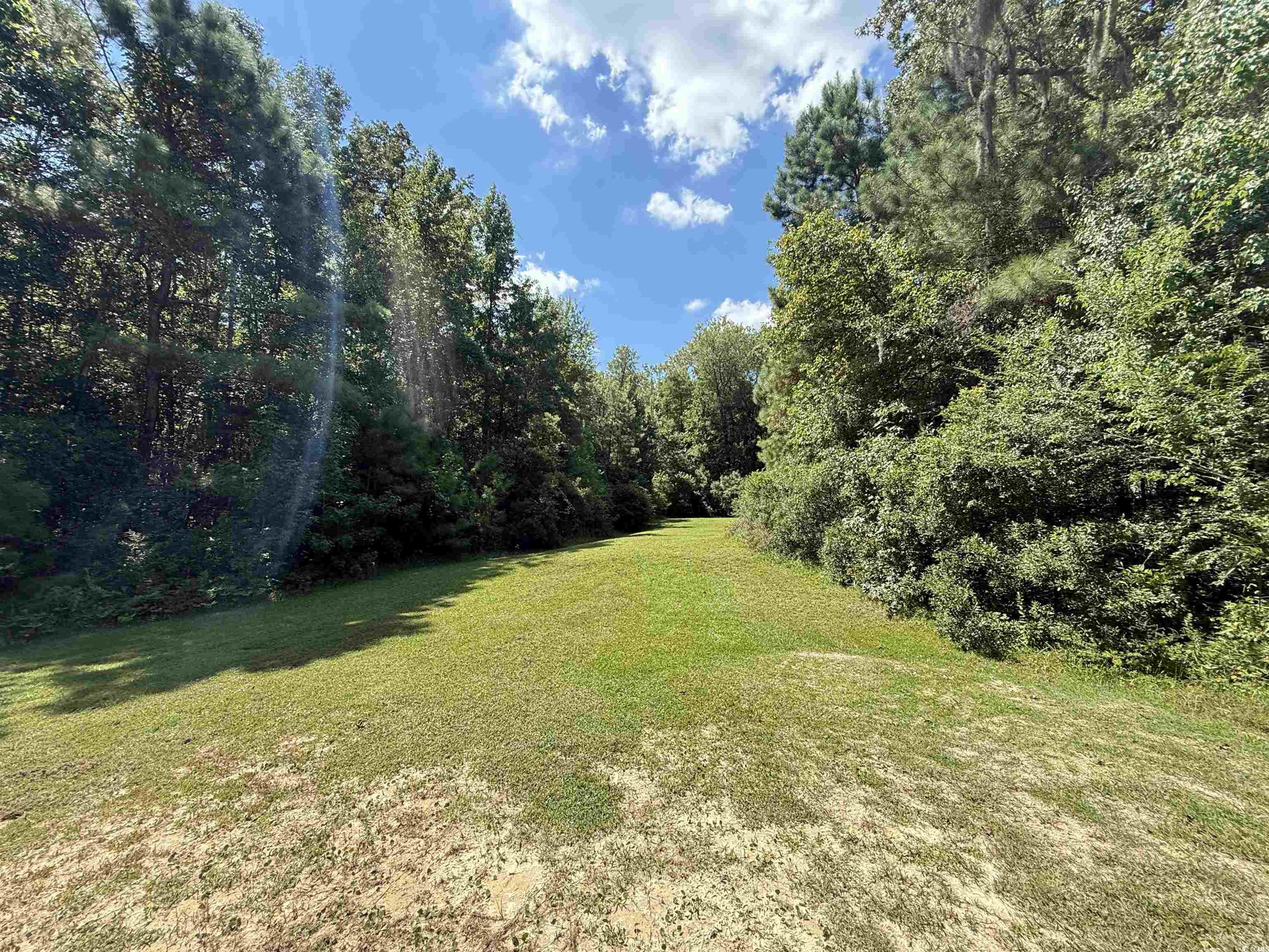 175 Commanders Island Rd.