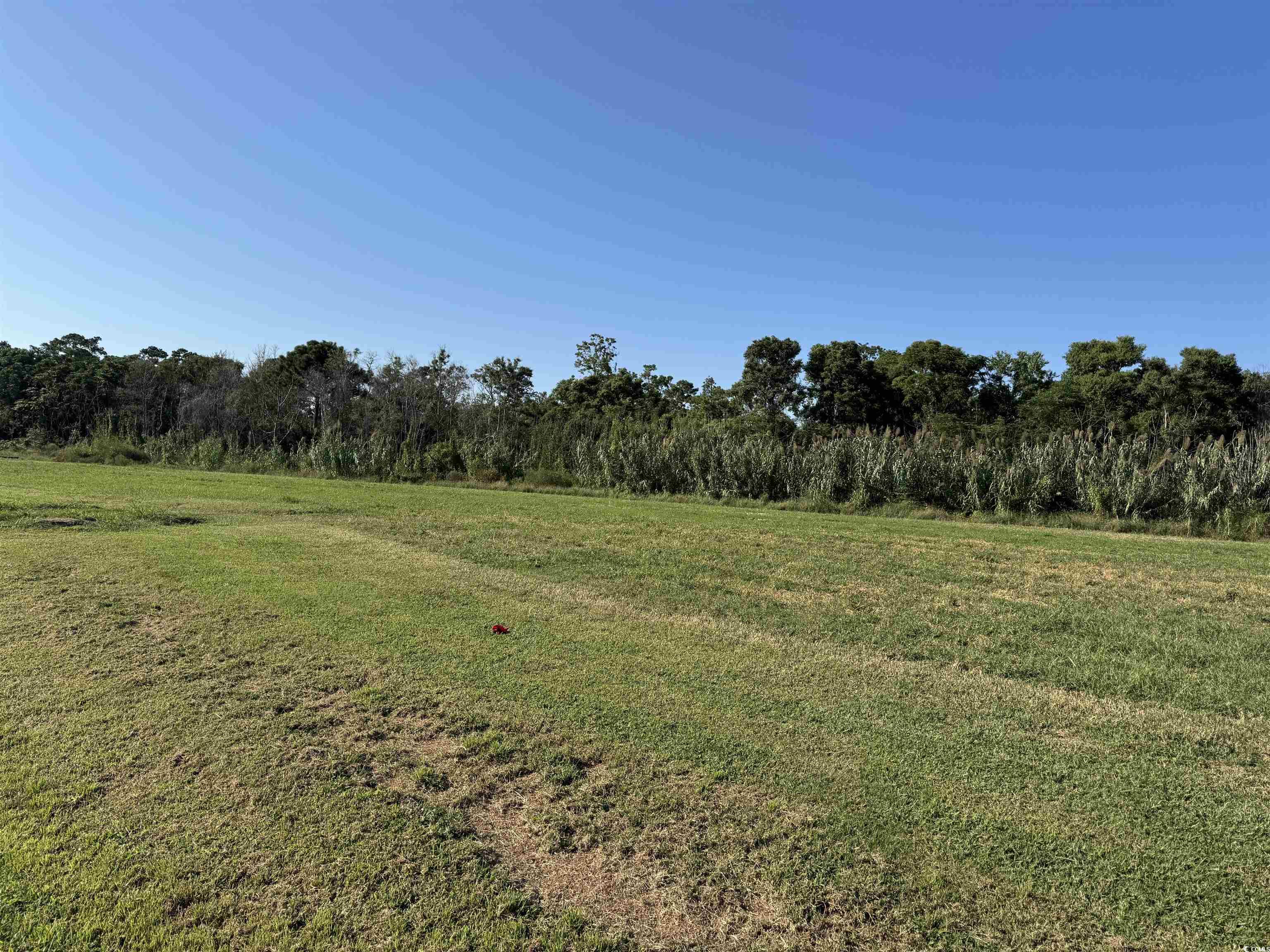 Lot 95 Cravens St.