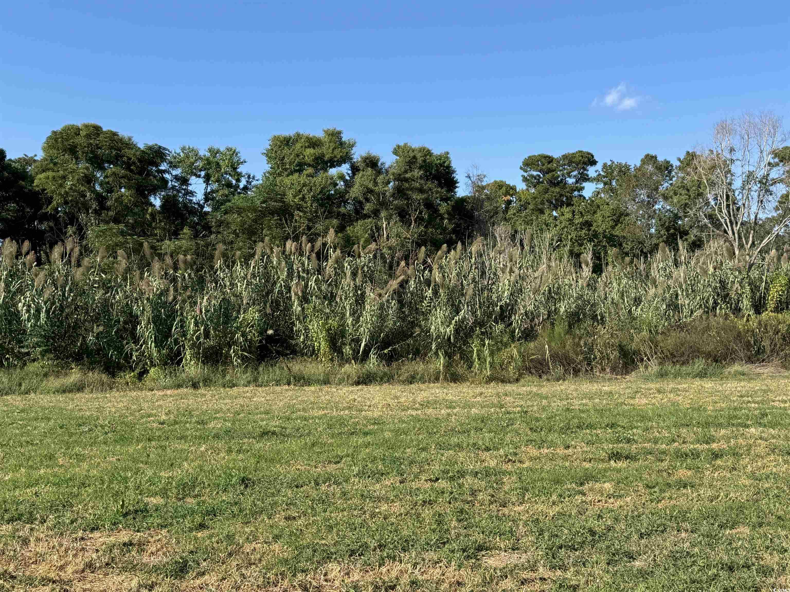 Lot 95 Cravens St.