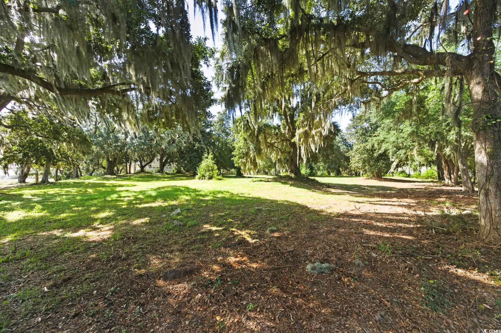 Lot 5 Whitehall Ave.