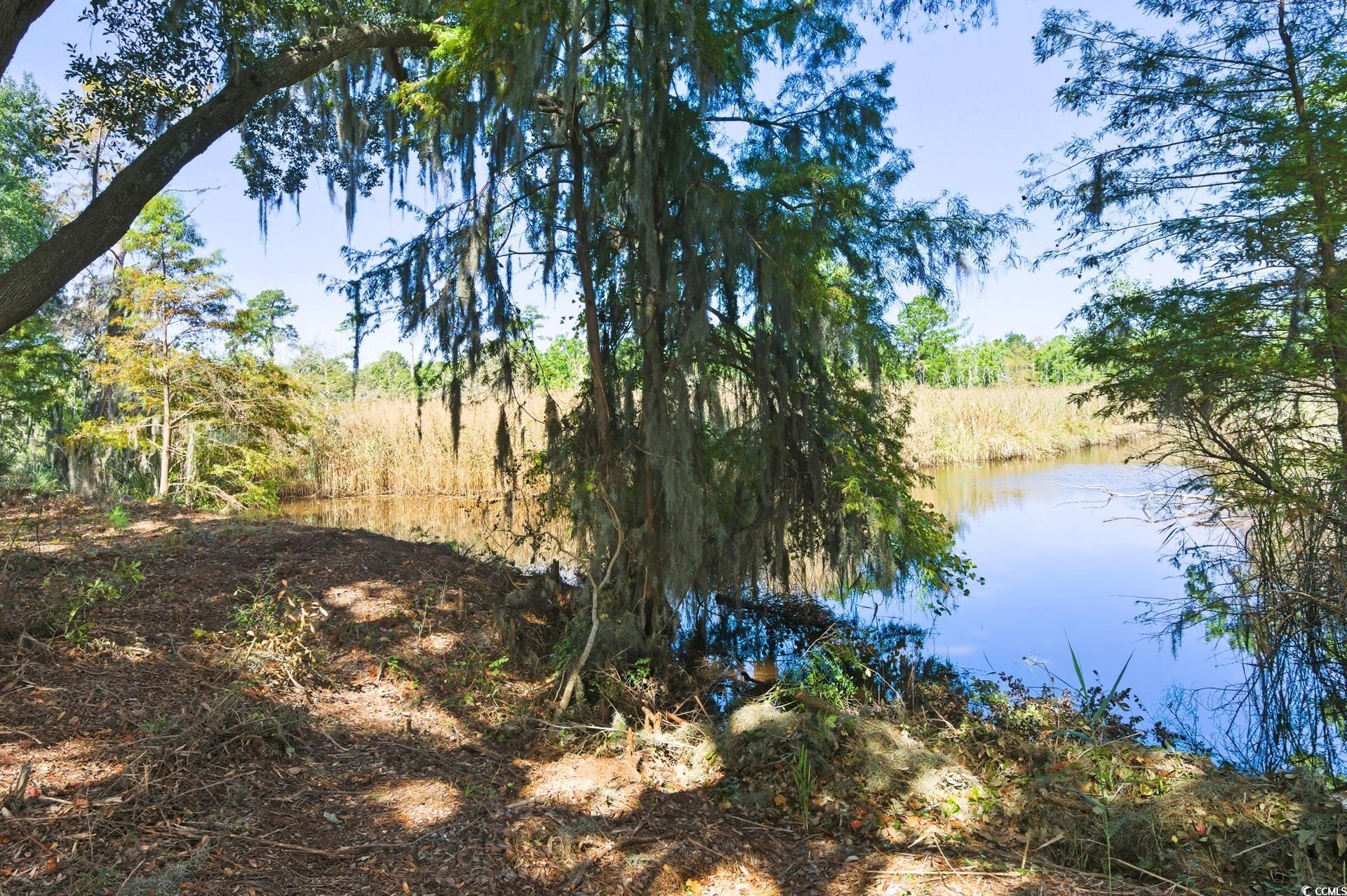 Lot 5 Whitehall Ave.