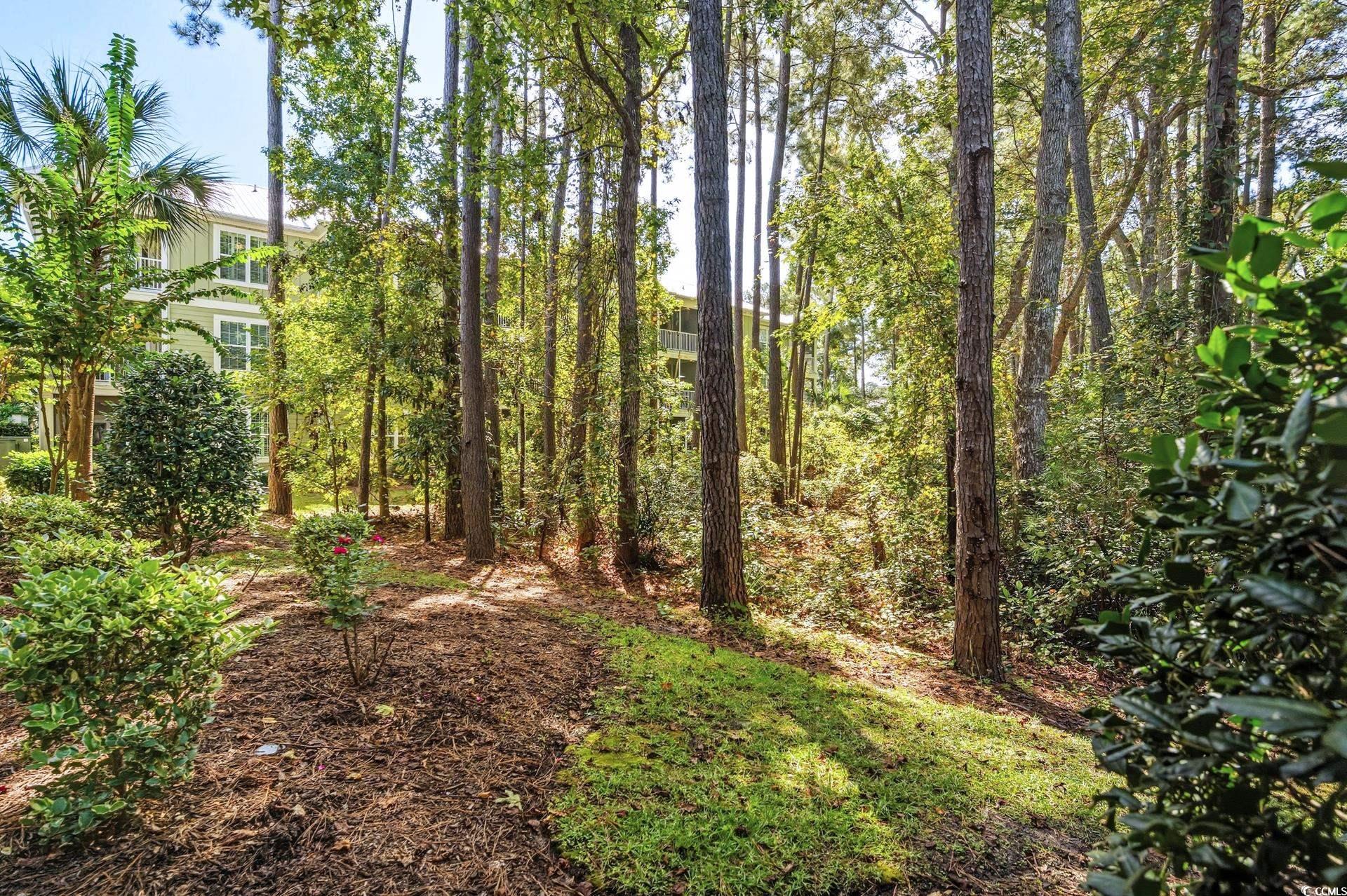 48 Mingo Dr. Unit: 1E