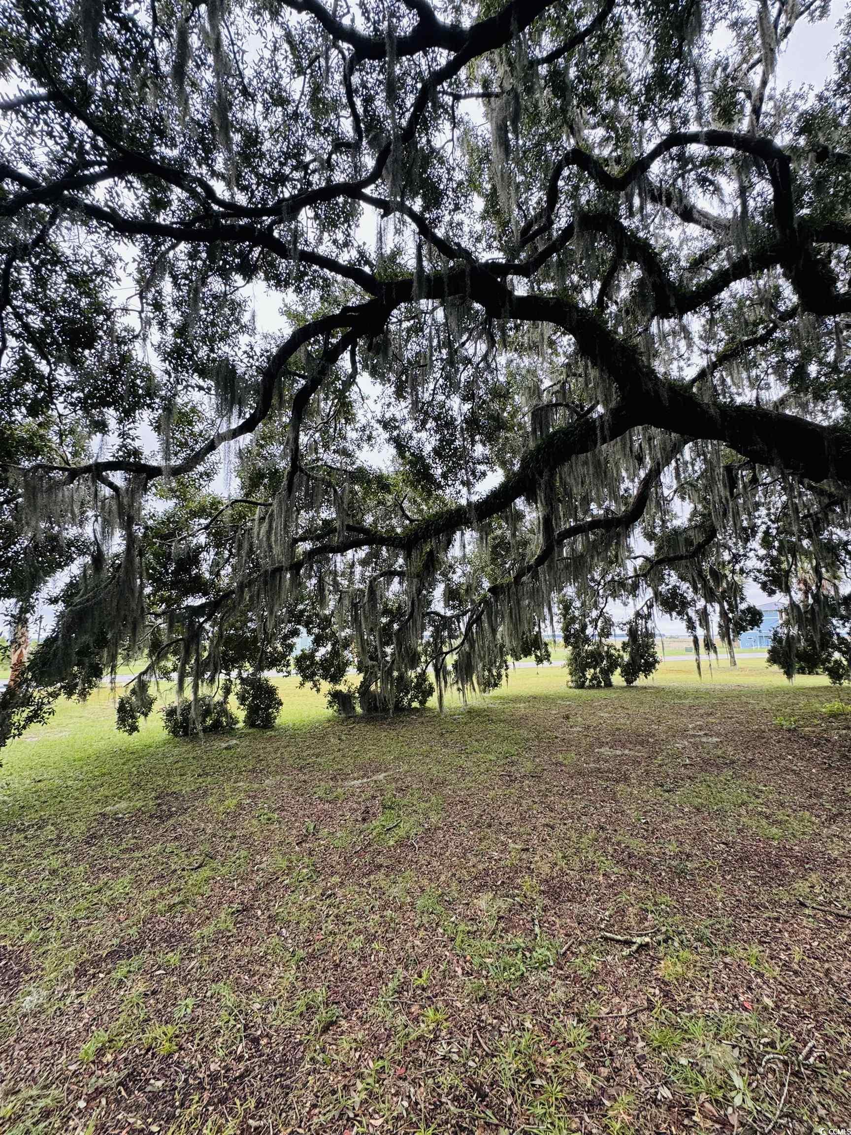 Lot 50 Oak Bay Dr.