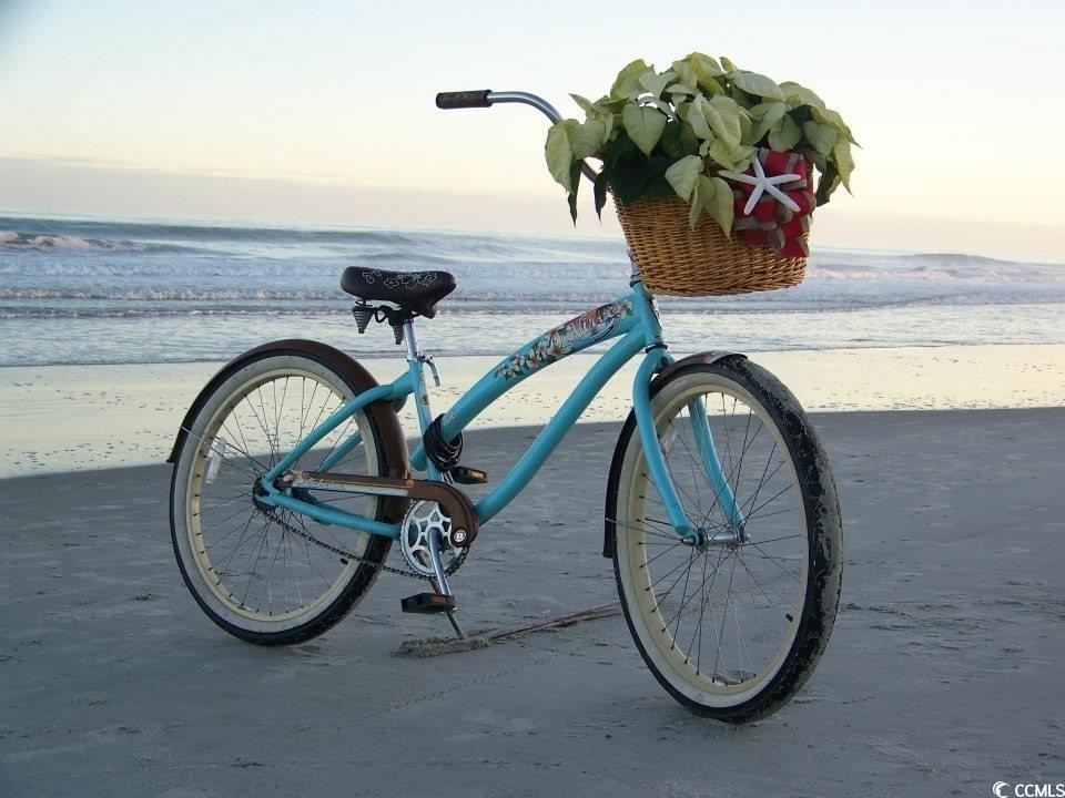 220 Lumbee Circle Unit: 34