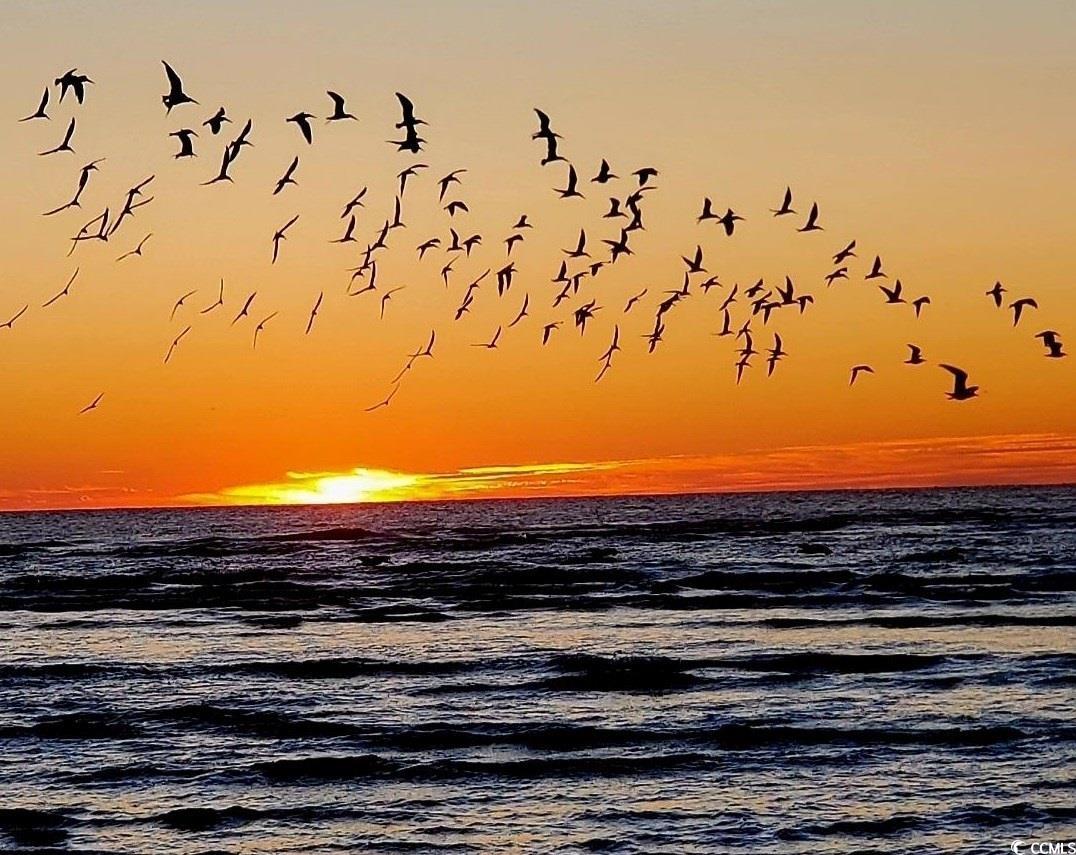 220 Lumbee Circle Unit: 34