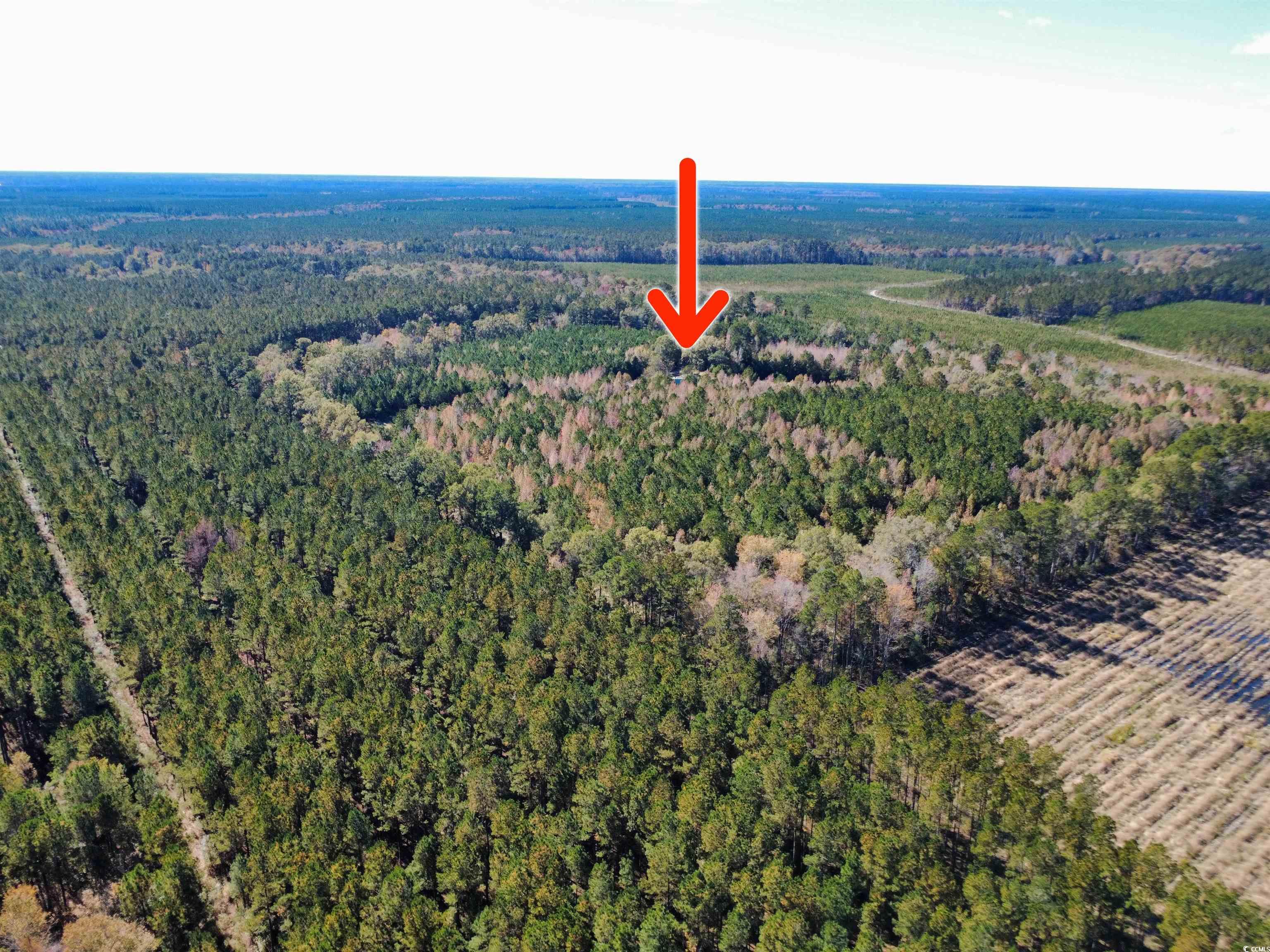 3264 Ten Acre Rd.