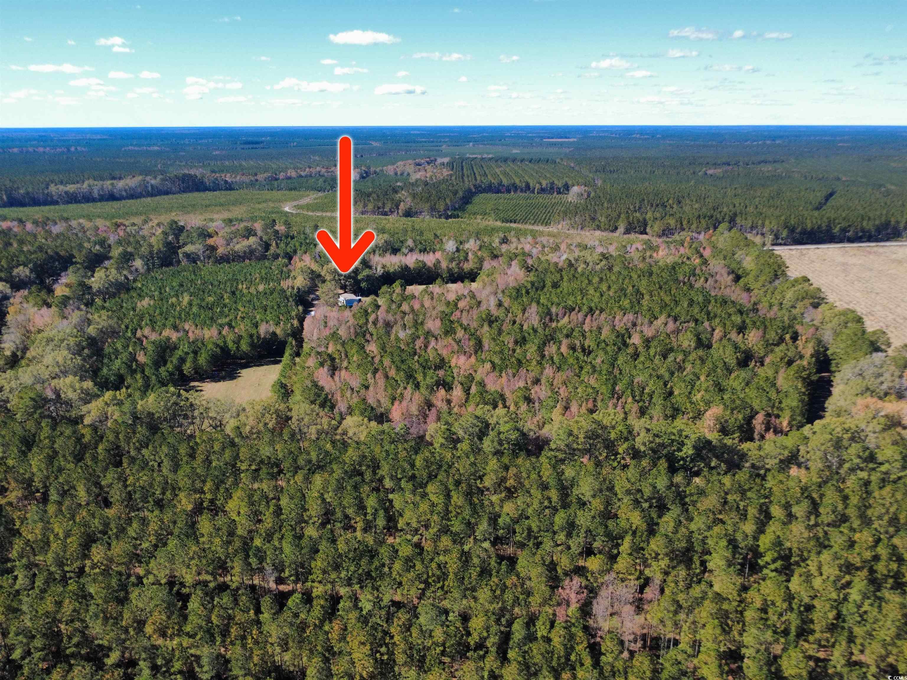 3264 Ten Acre Rd.
