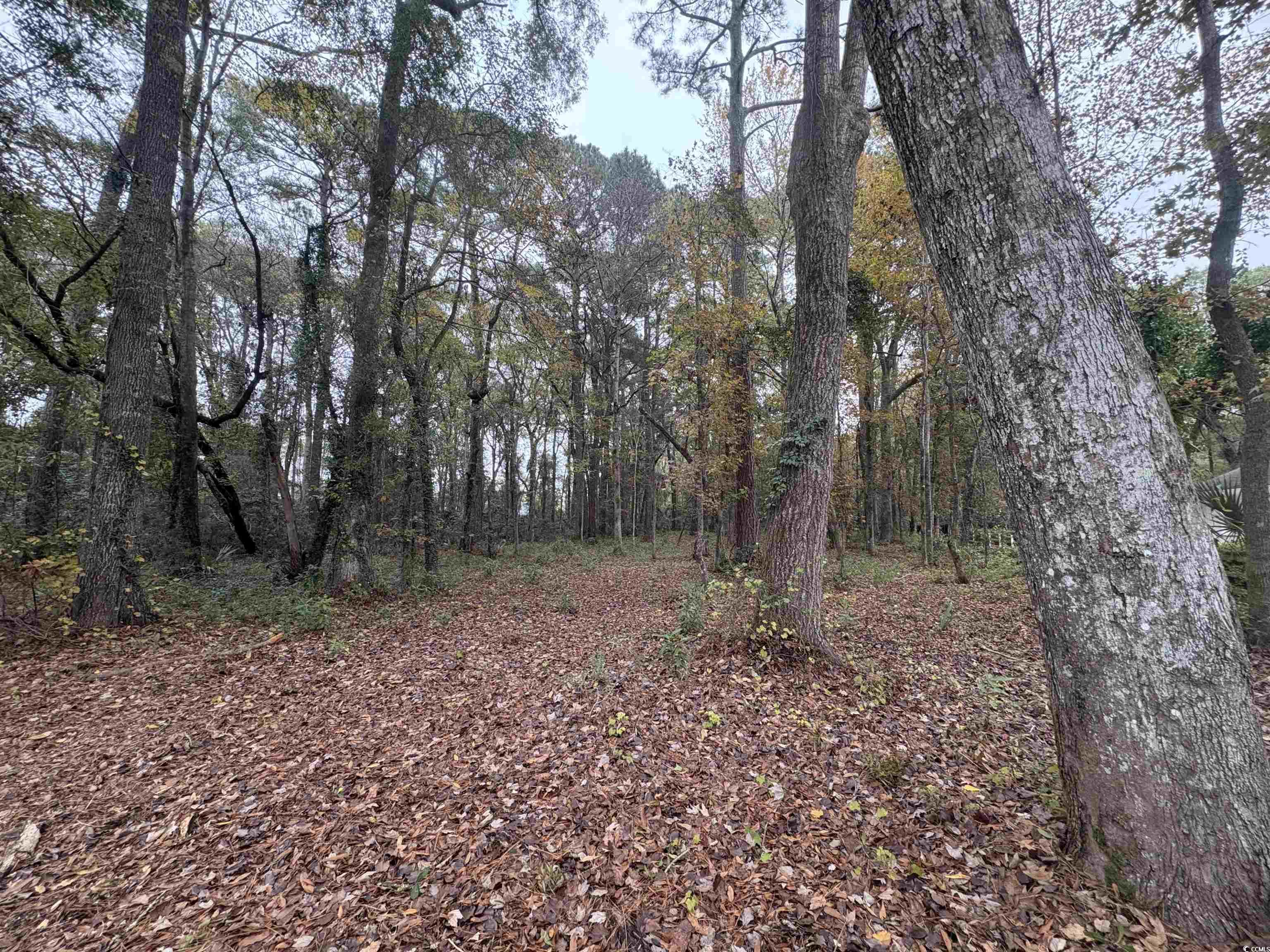 Lot 34 Old Augusta Dr.